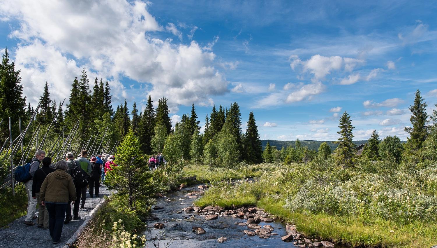 Gåtur langs elven, Kittilbu