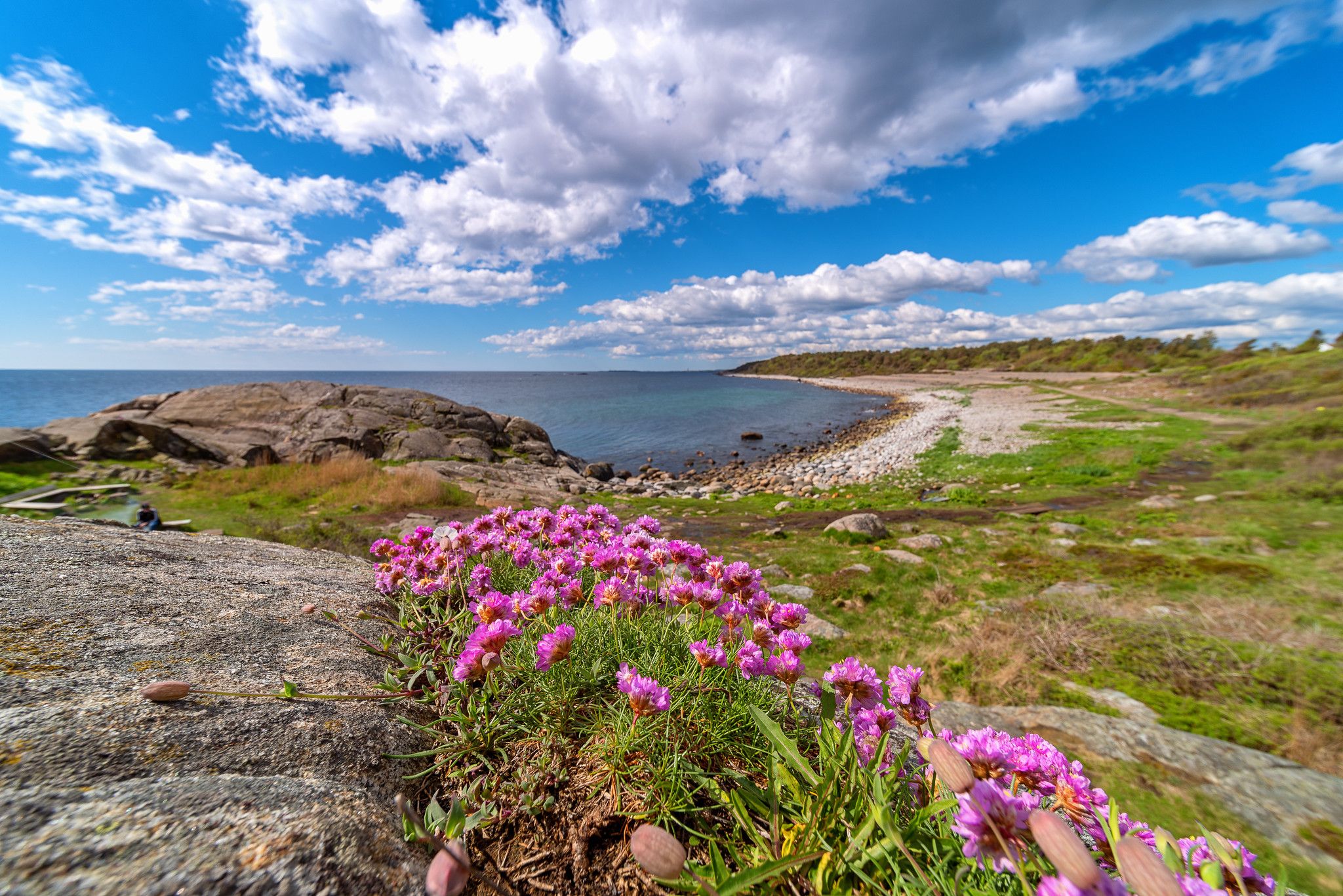 Raet nasjonalpark - spornes
