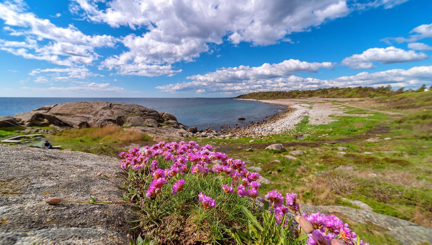Raet nasjonalpark - spornes