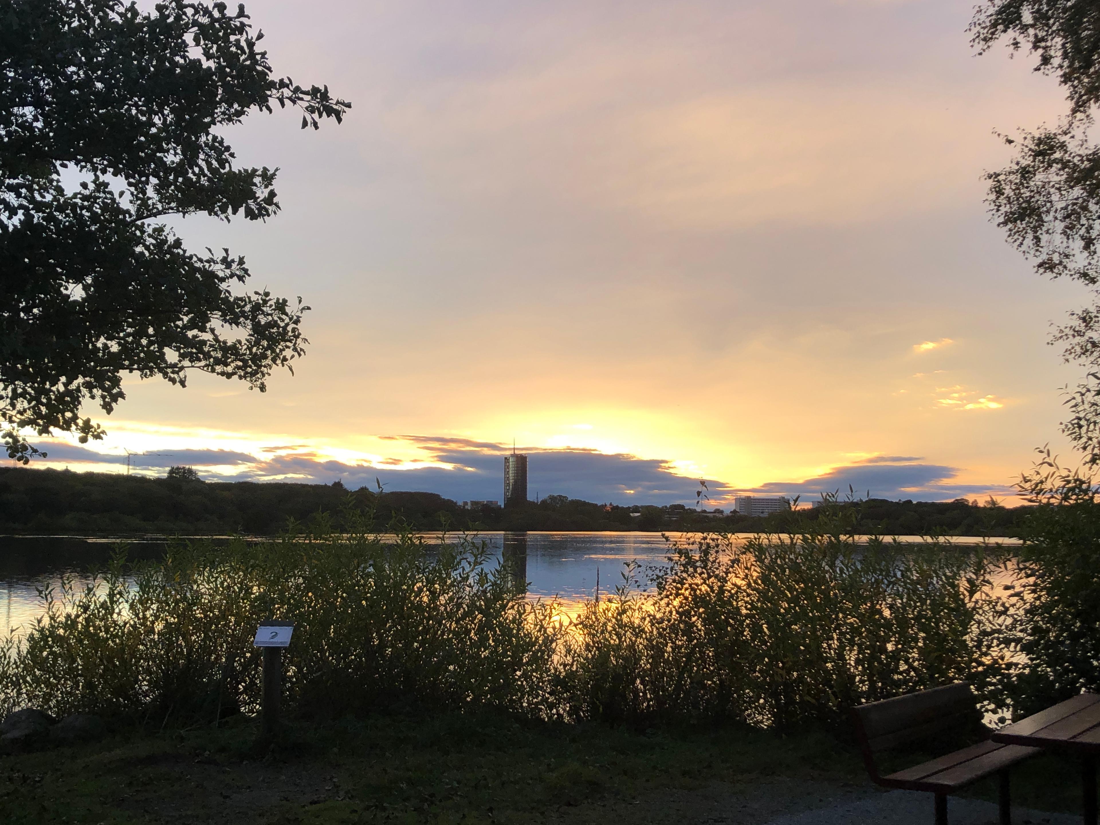 Mosvatnet naturreservat i Stavanger