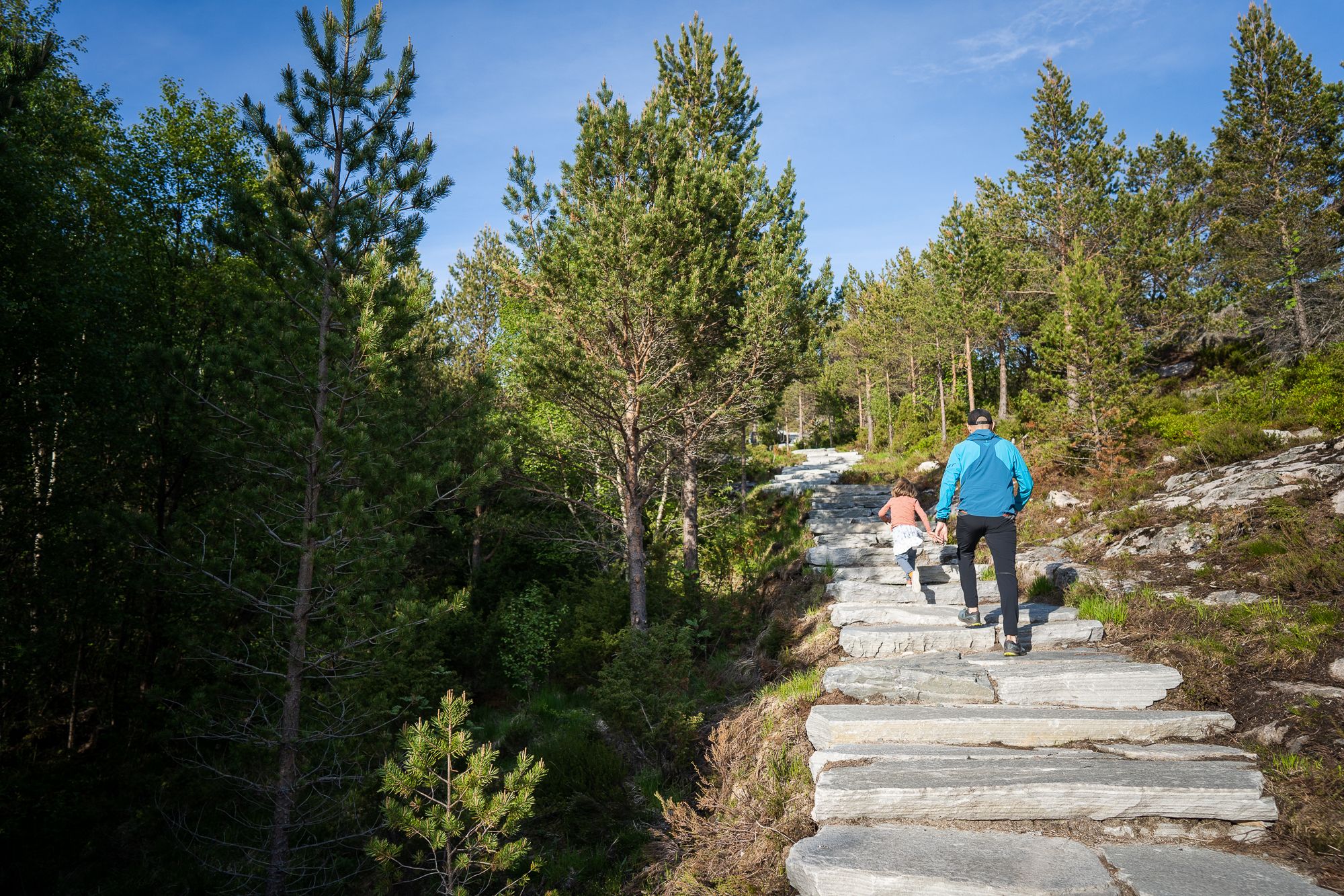 Kvernberget hike
