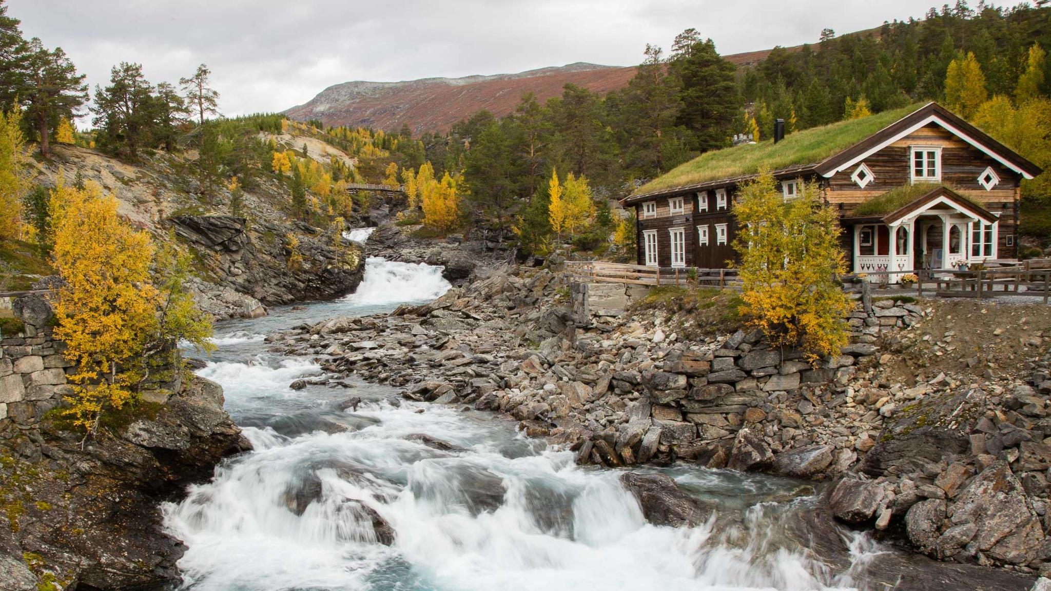 Reinheimen Nasjonalpark