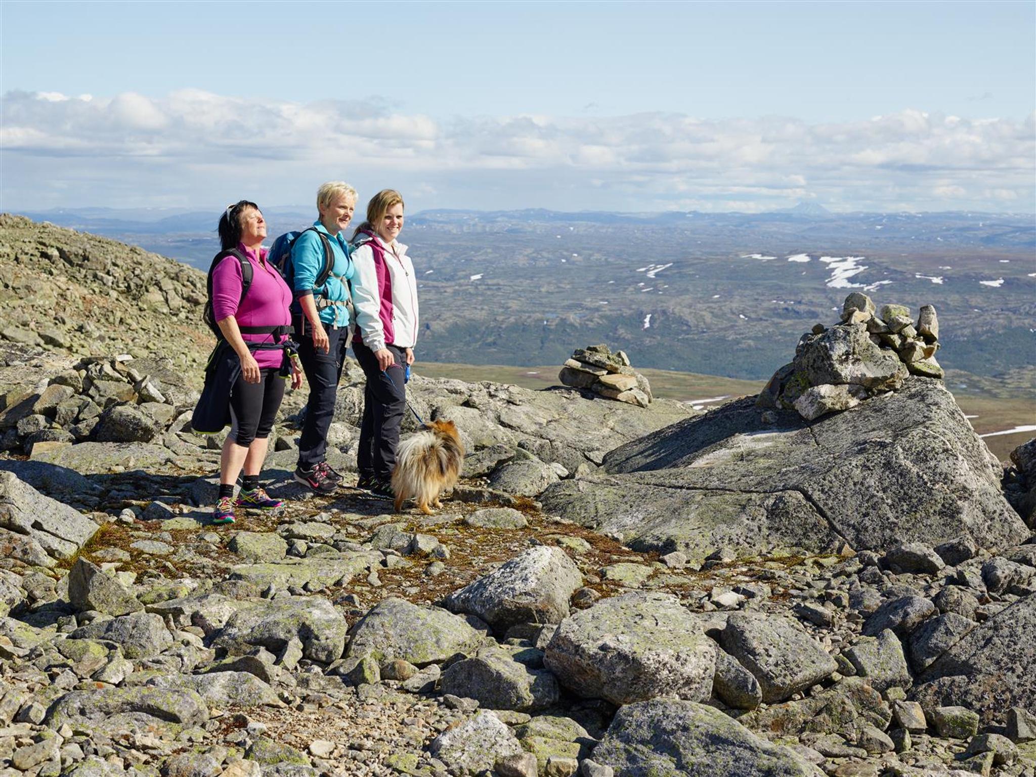 On top of Hallingskarvet