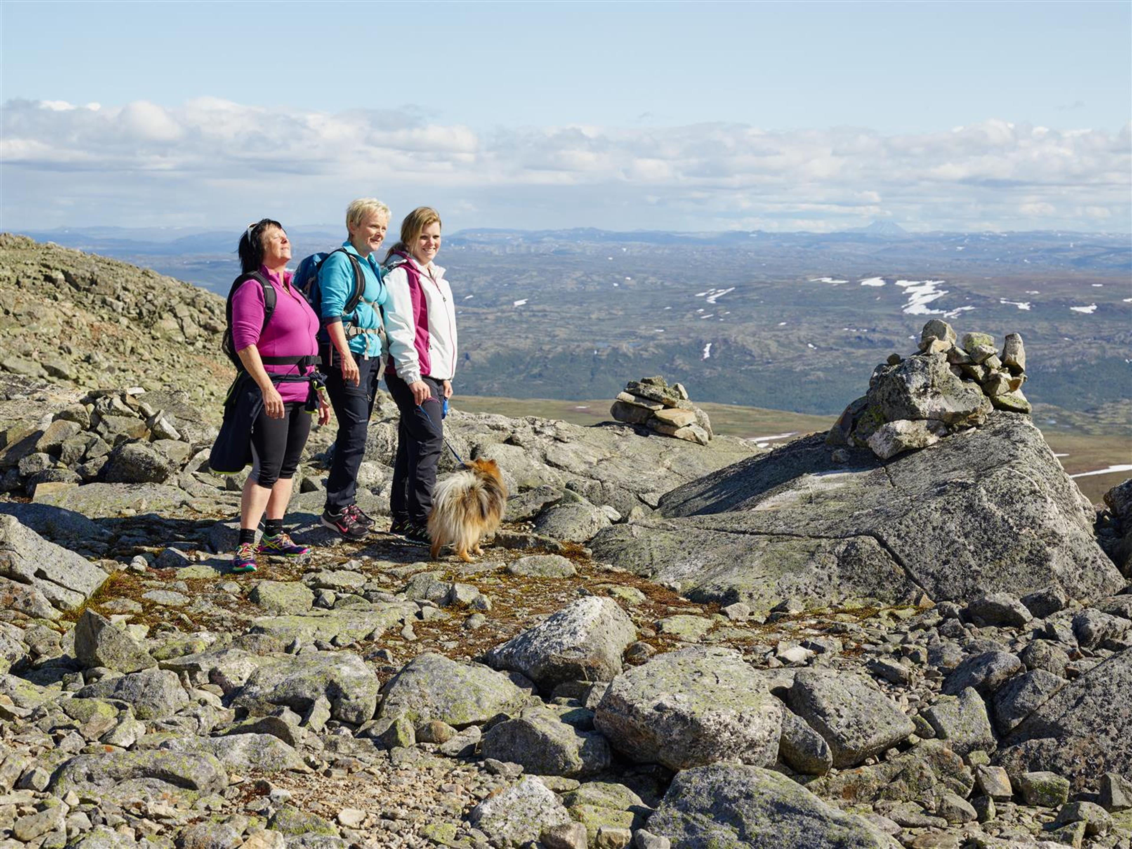 On top of Hallingskarvet