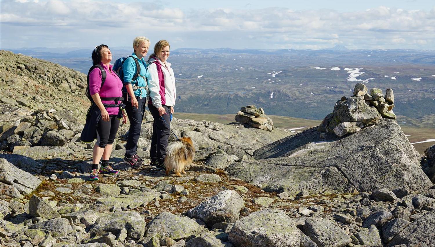 On top of Hallingskarvet