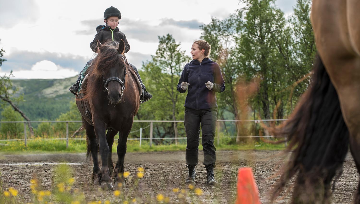 Riding lessons for riders of all ages