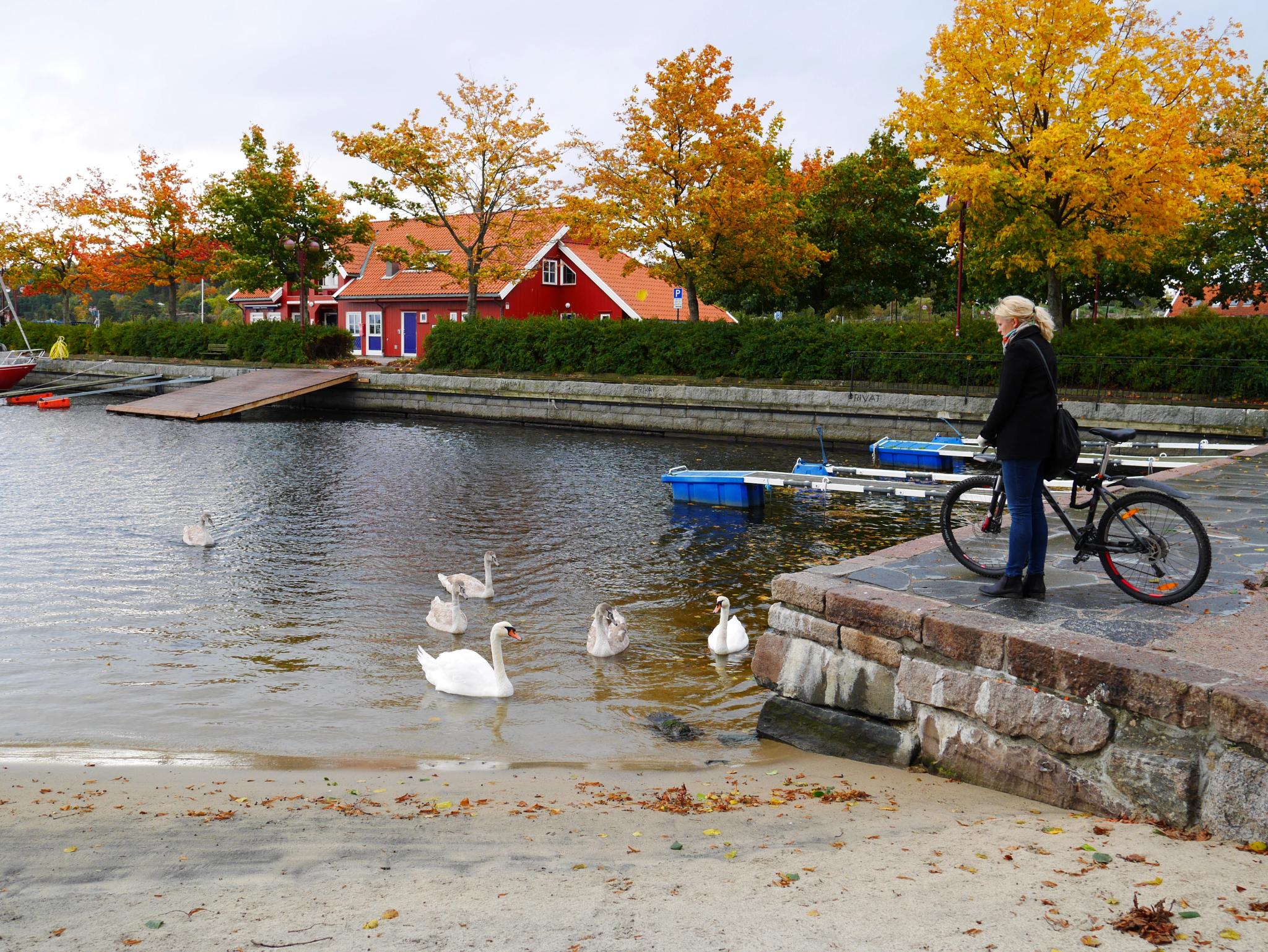 Sykkeltur til Kristiansand Kanonmuseum