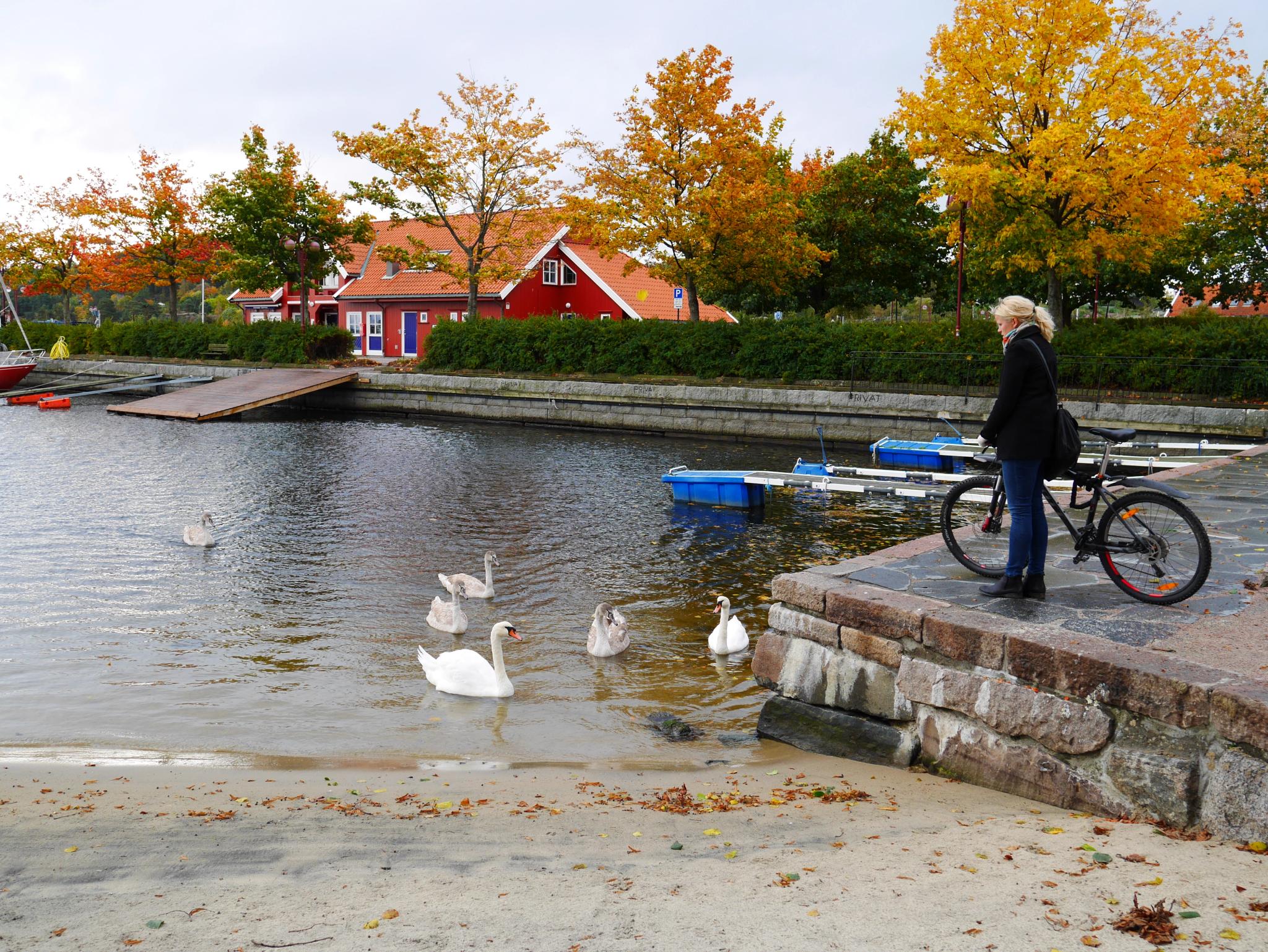 Sykkeltur til Kristiansand Kanonmuseum