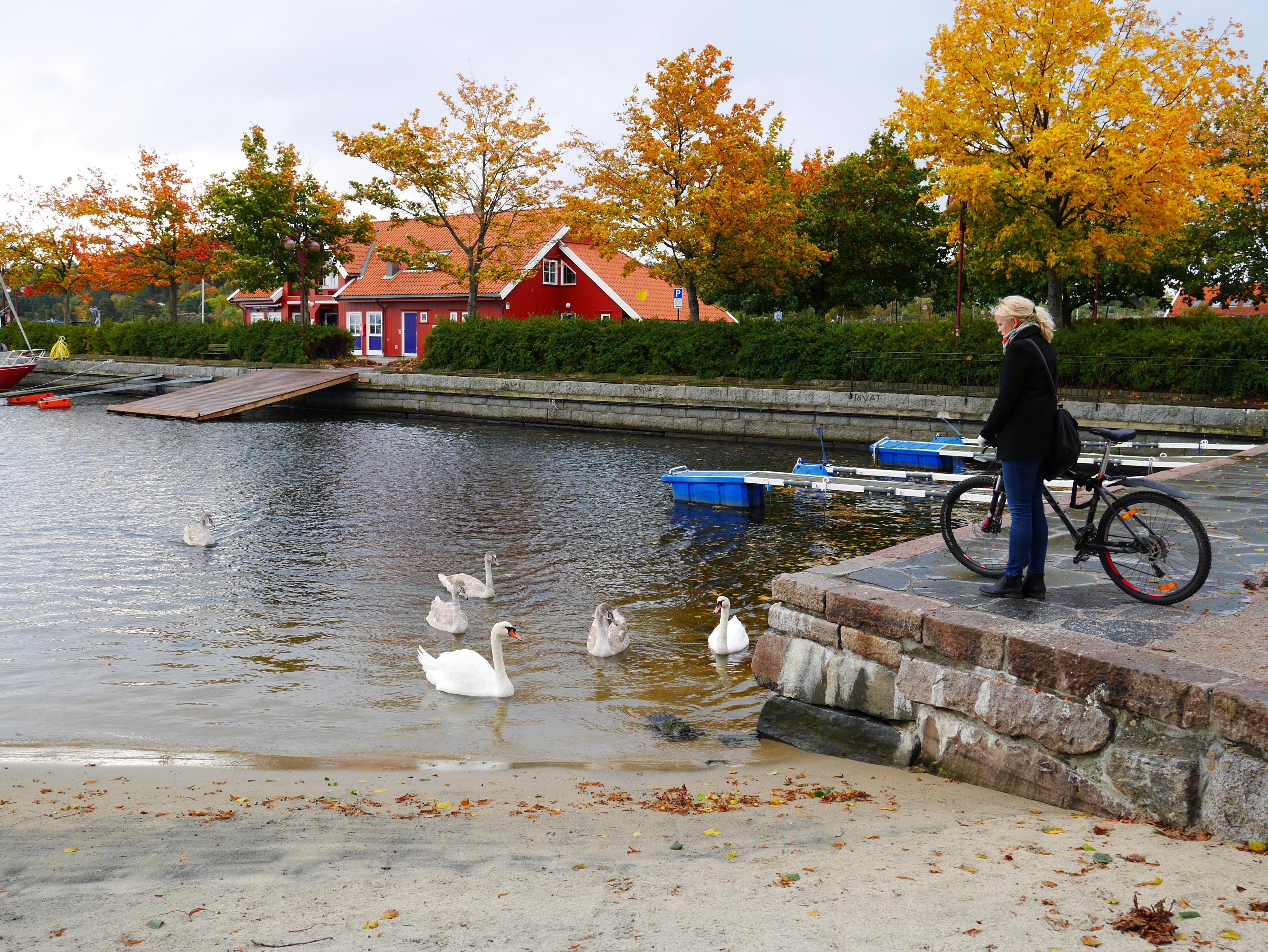 Sykkeltur til Kristiansand Kanonmuseum