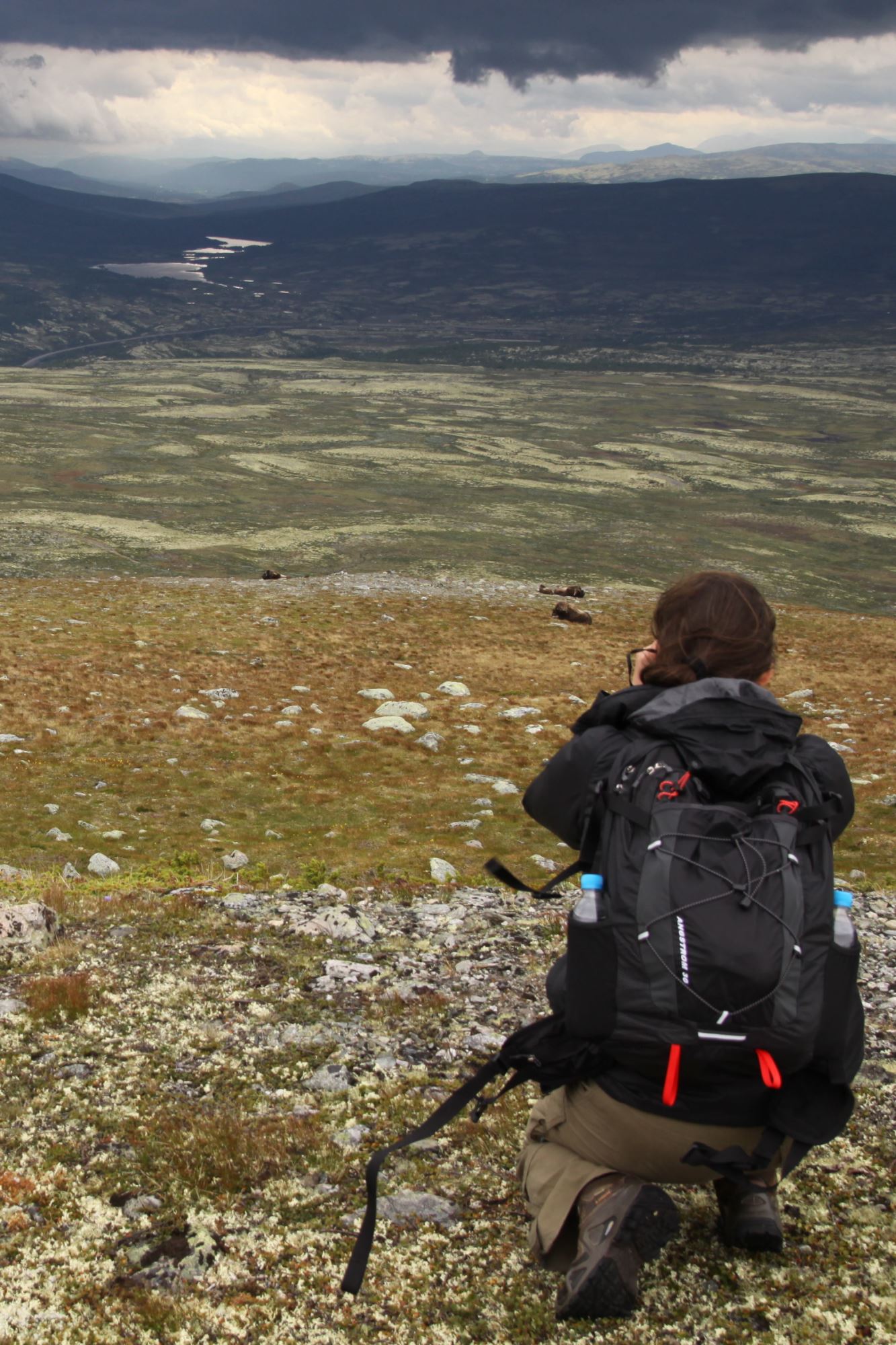 Tordenvær og moskussafari!