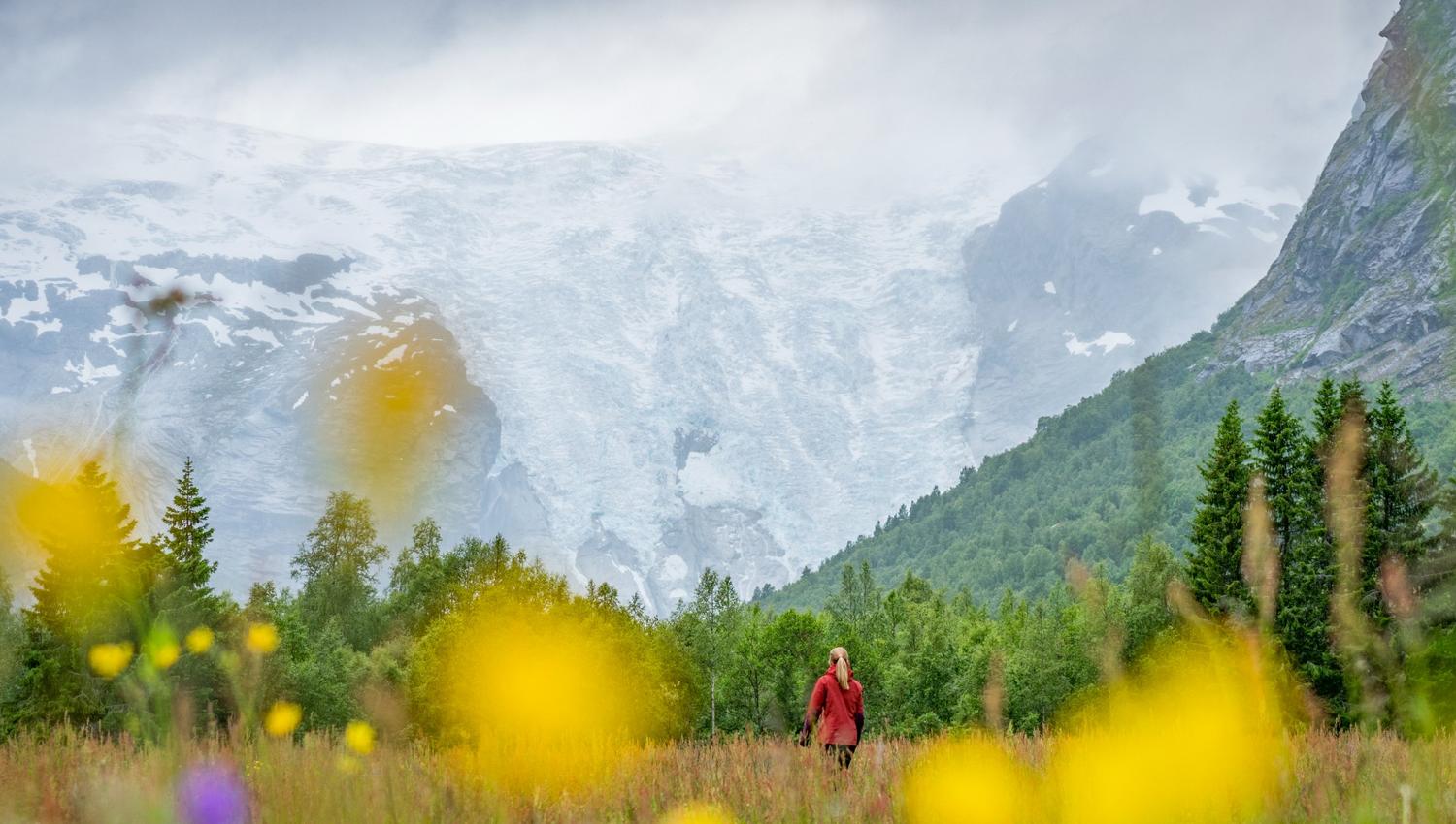 Bergsetbreen