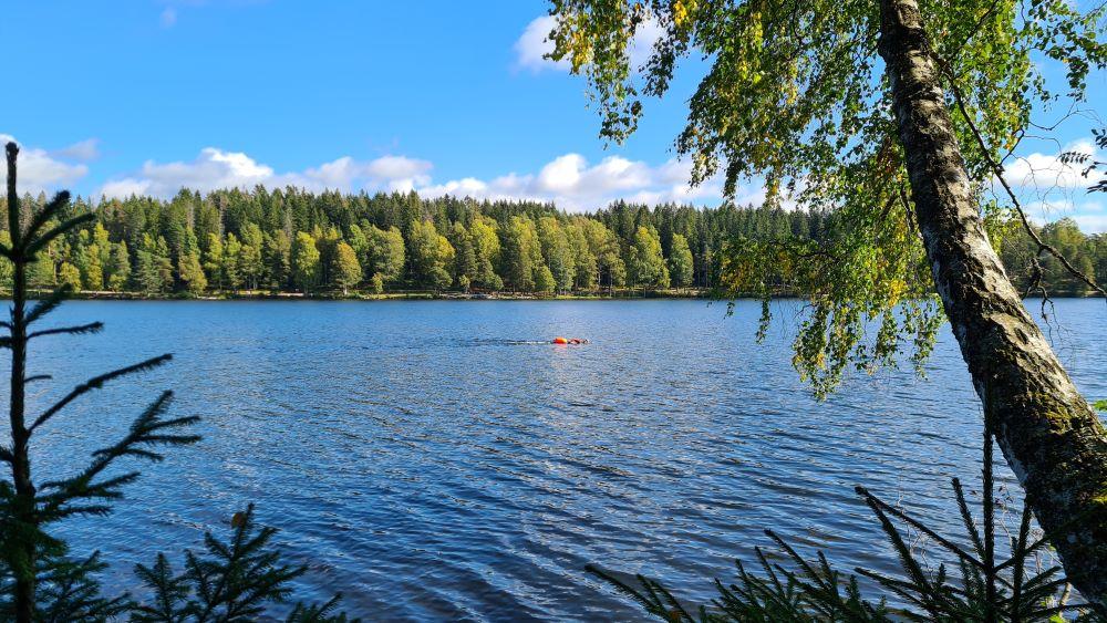 Sognsvann om sommeren