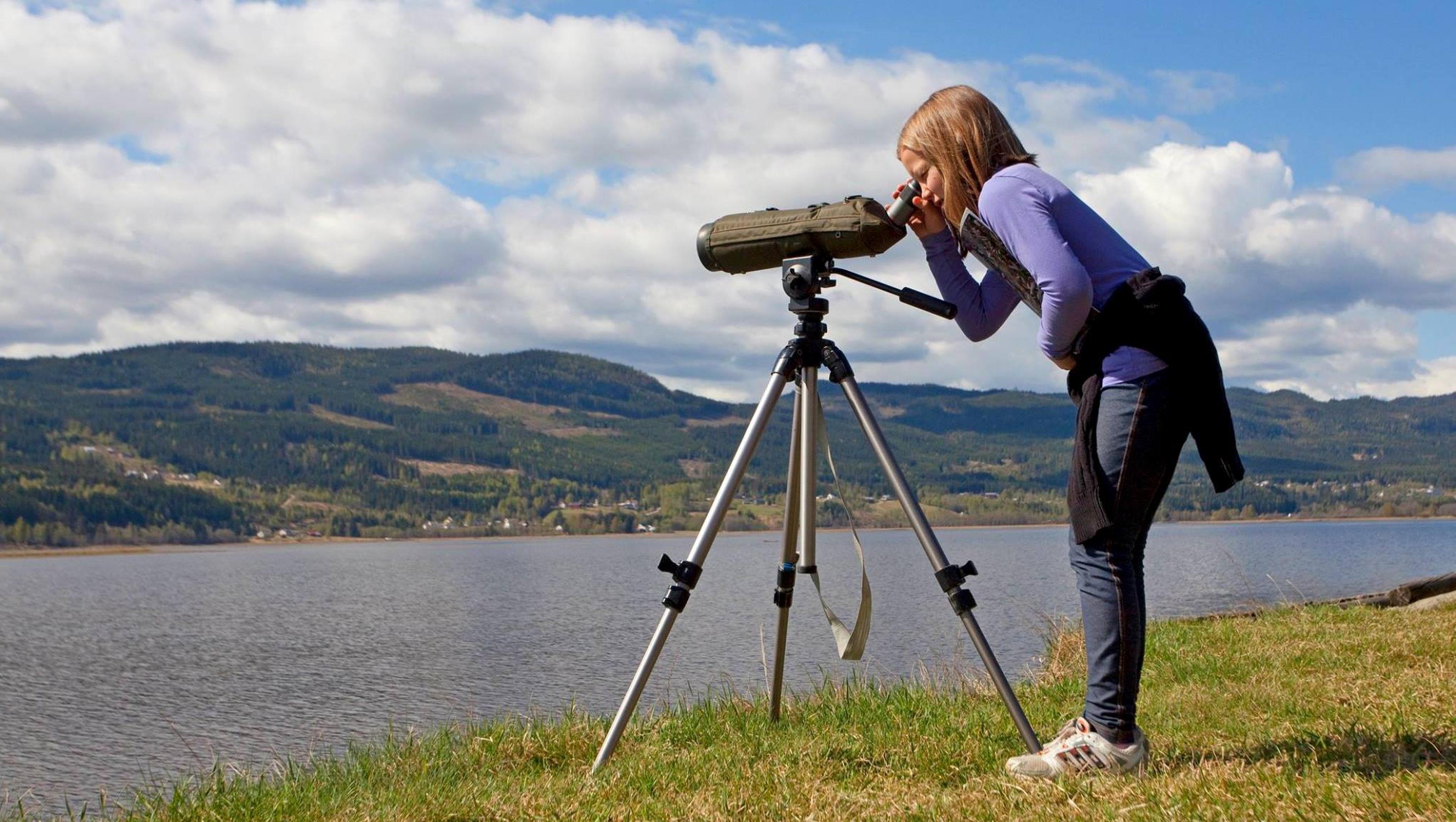 Fuglekikking i Dokkadeltaet