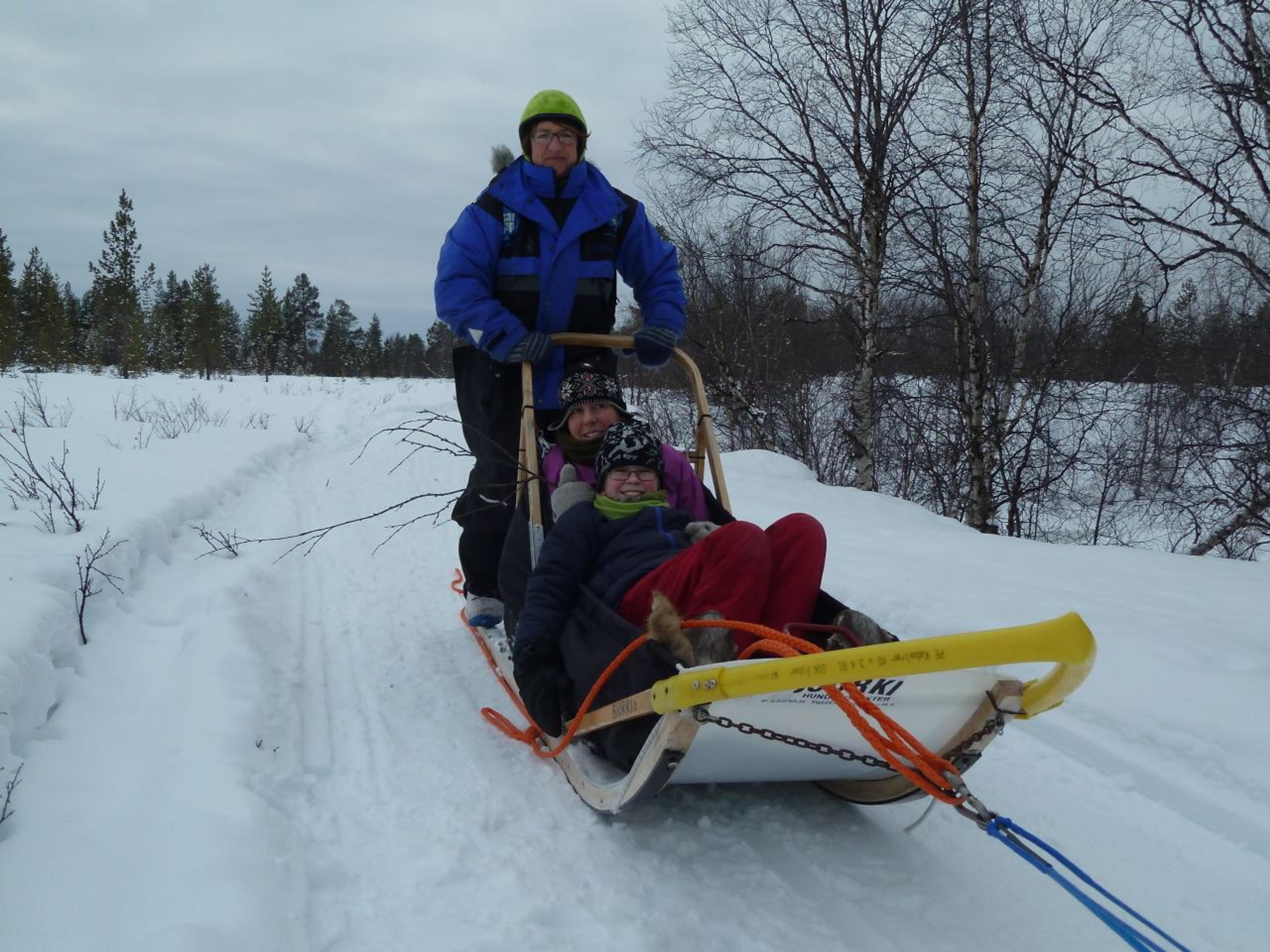 3 day husky tour in Pasvik valley - Birk Husky