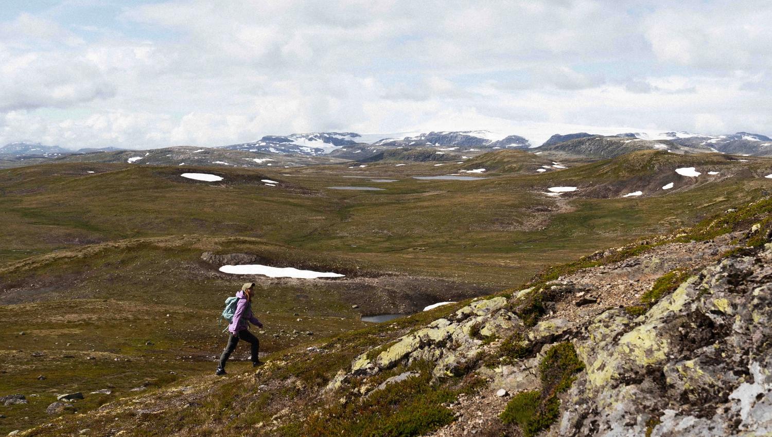 A female hiker hiking uphill towards the Halnekollen summit, the Hardangerjøkule glacier is seen in the background.