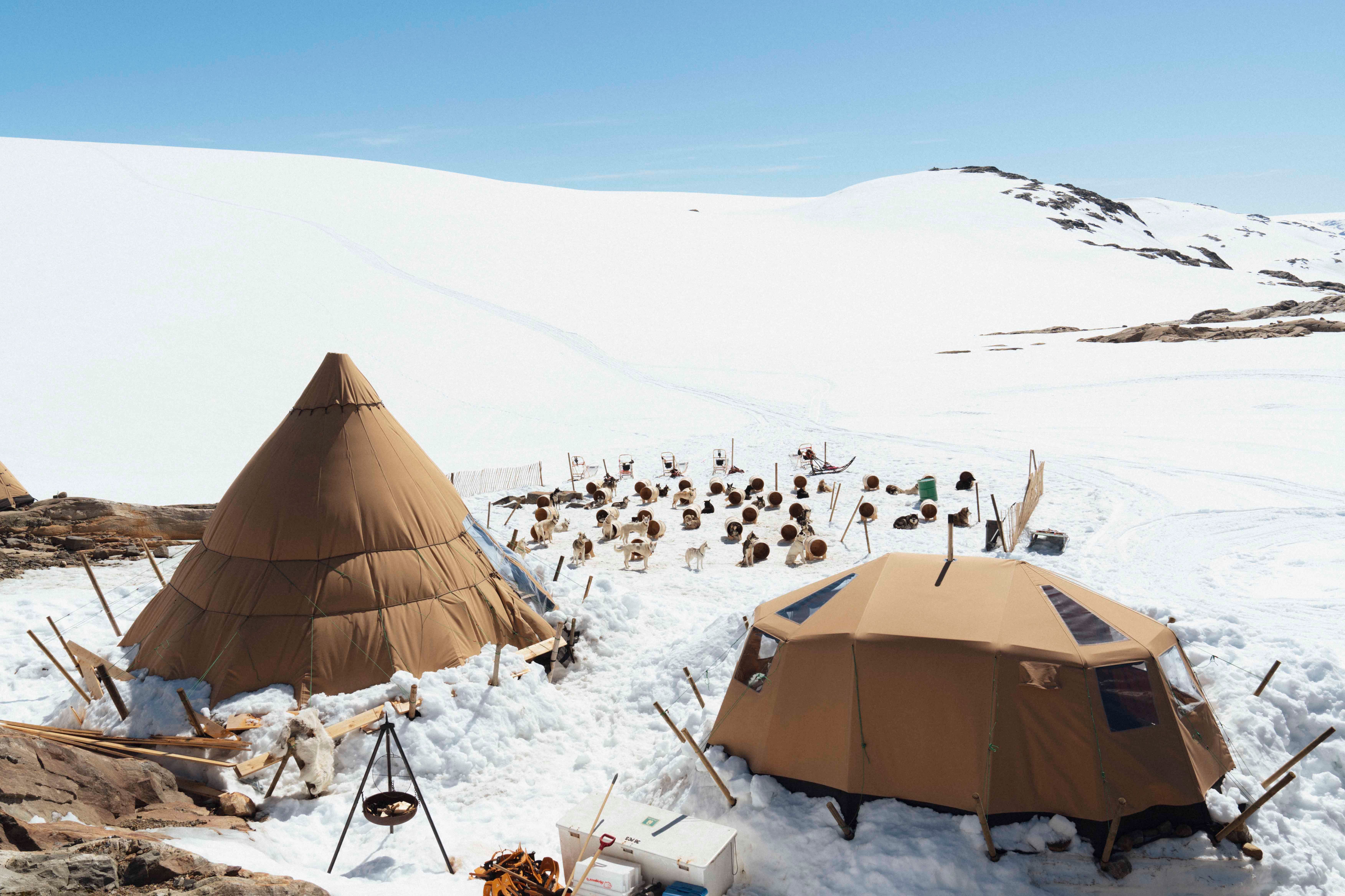 Folgefonna Husky Camp i snøen med flere lokalt produserte hundehus og huskyer og Folgefonna isbre i bakgrunnen.