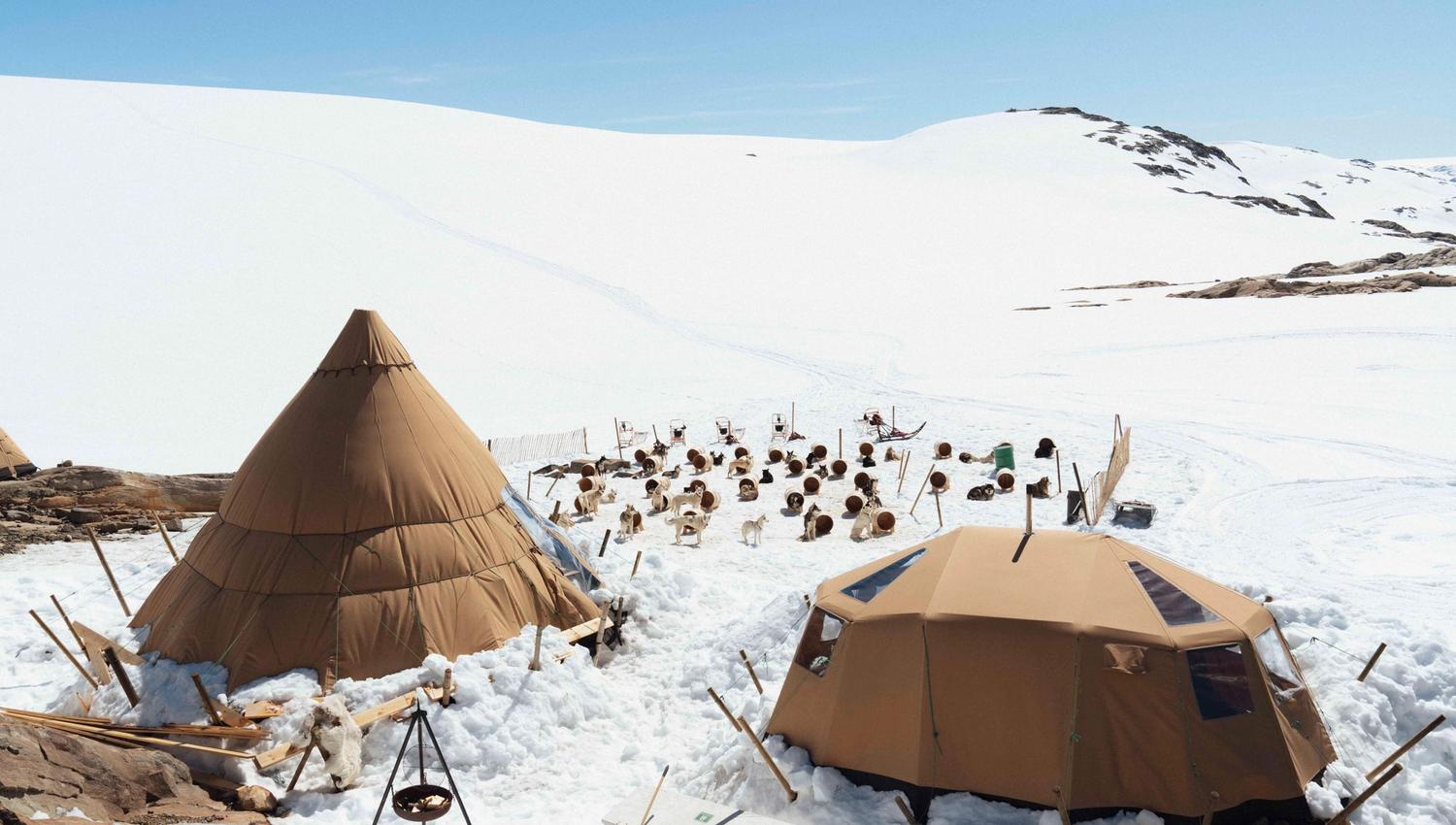 Folgefonna Husky Camp i snøen med flere lokalt produserte hundehus og huskyer og Folgefonna isbre i bakgrunnen.