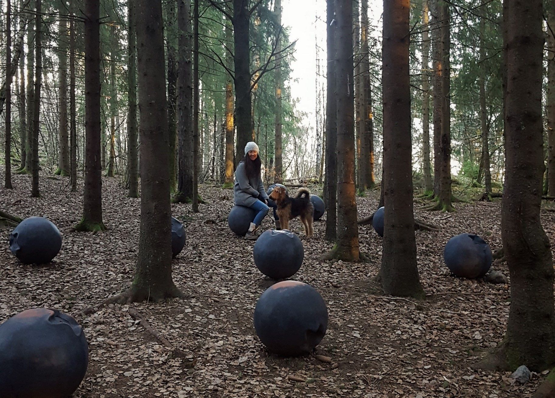 Blåbærskogen Sti for øye