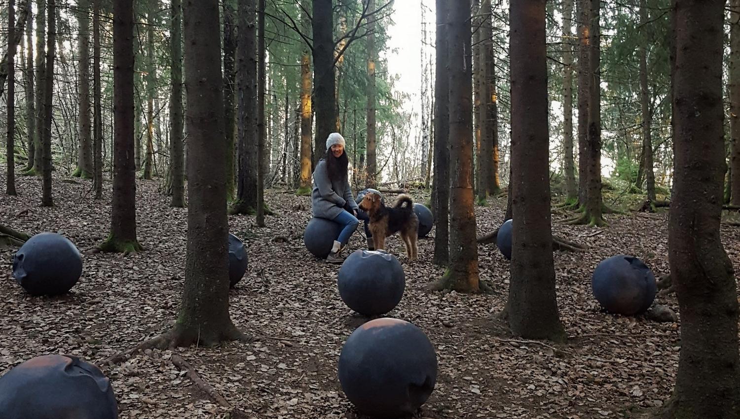 Blåbærskogen Sti for øye