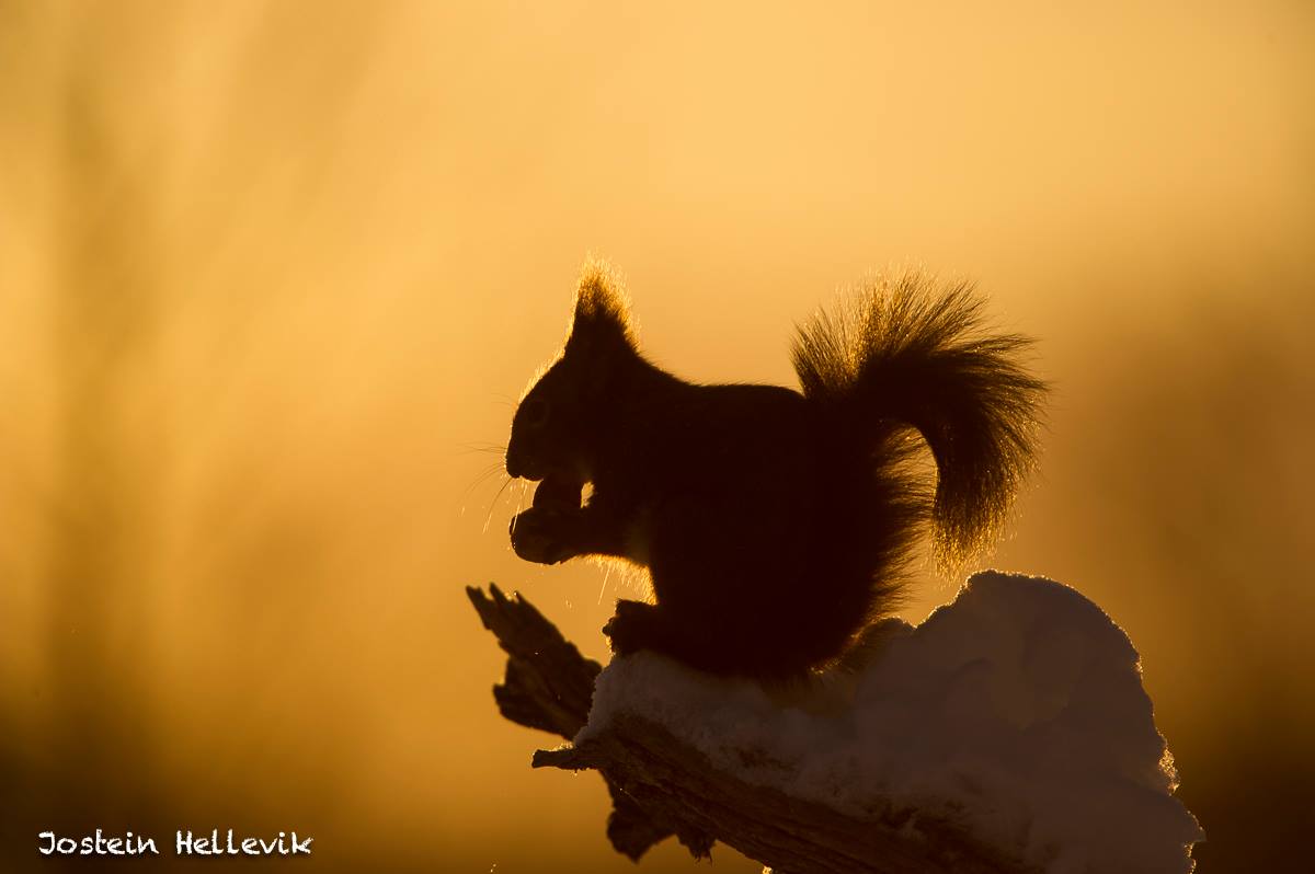 10847150_764139190347841_5178747581499020873_o