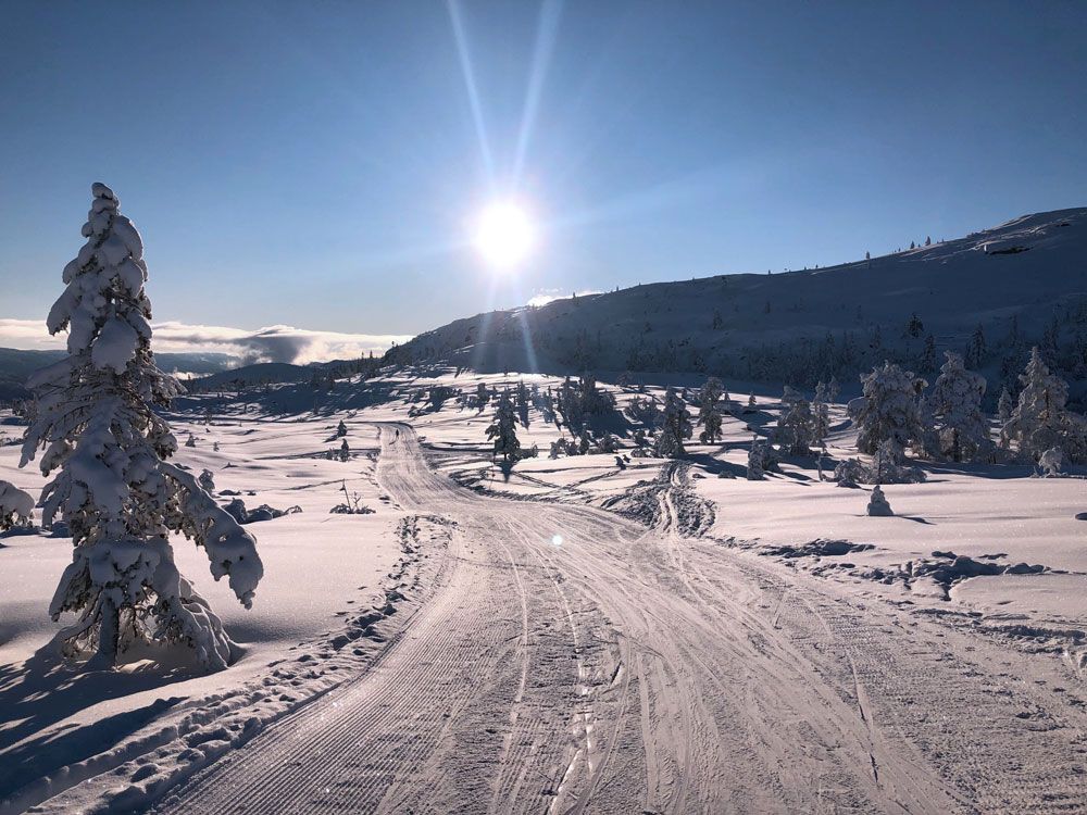 langrennsløyper i Vrådal