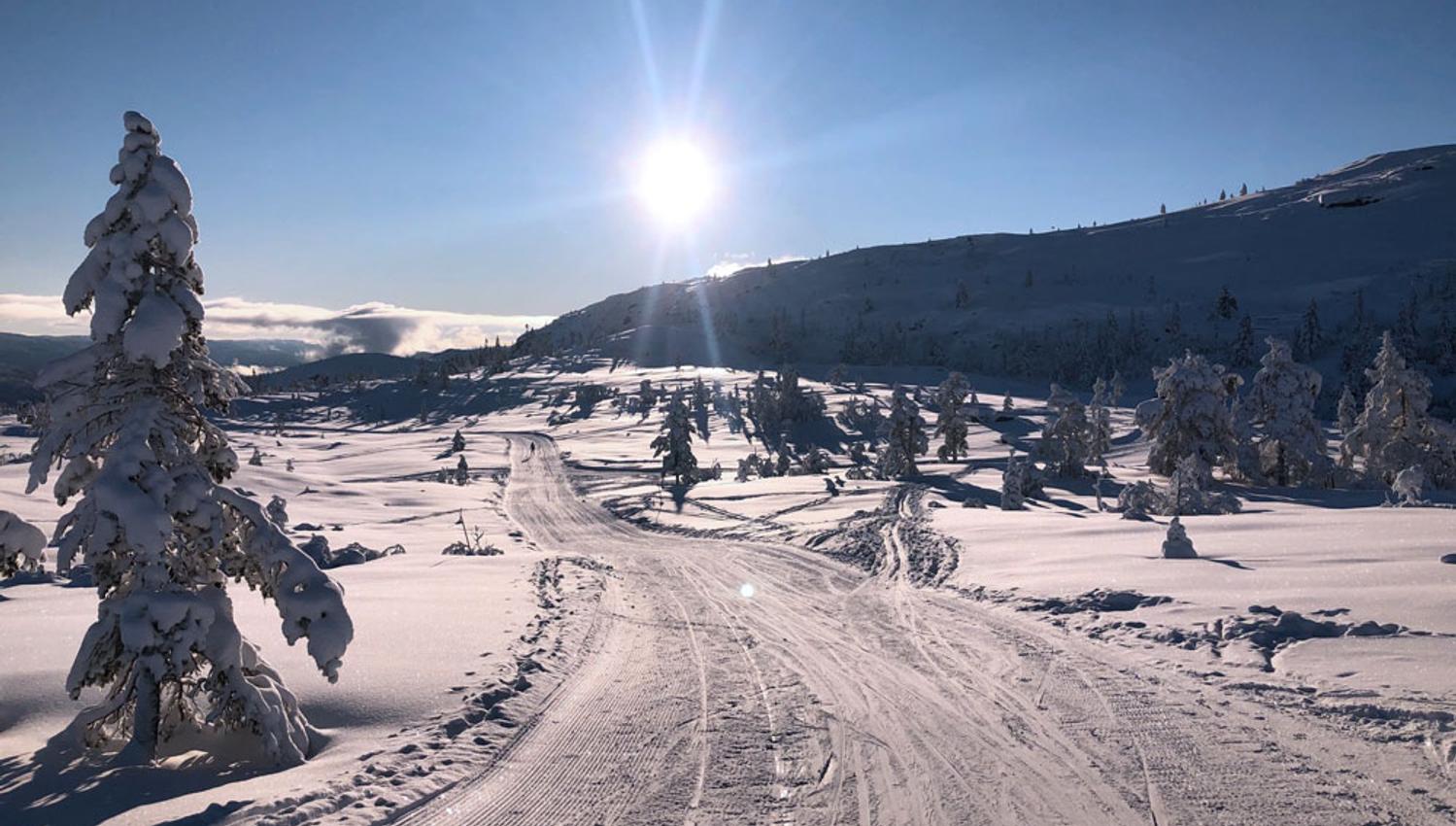 langrennsløyper i Vrådal