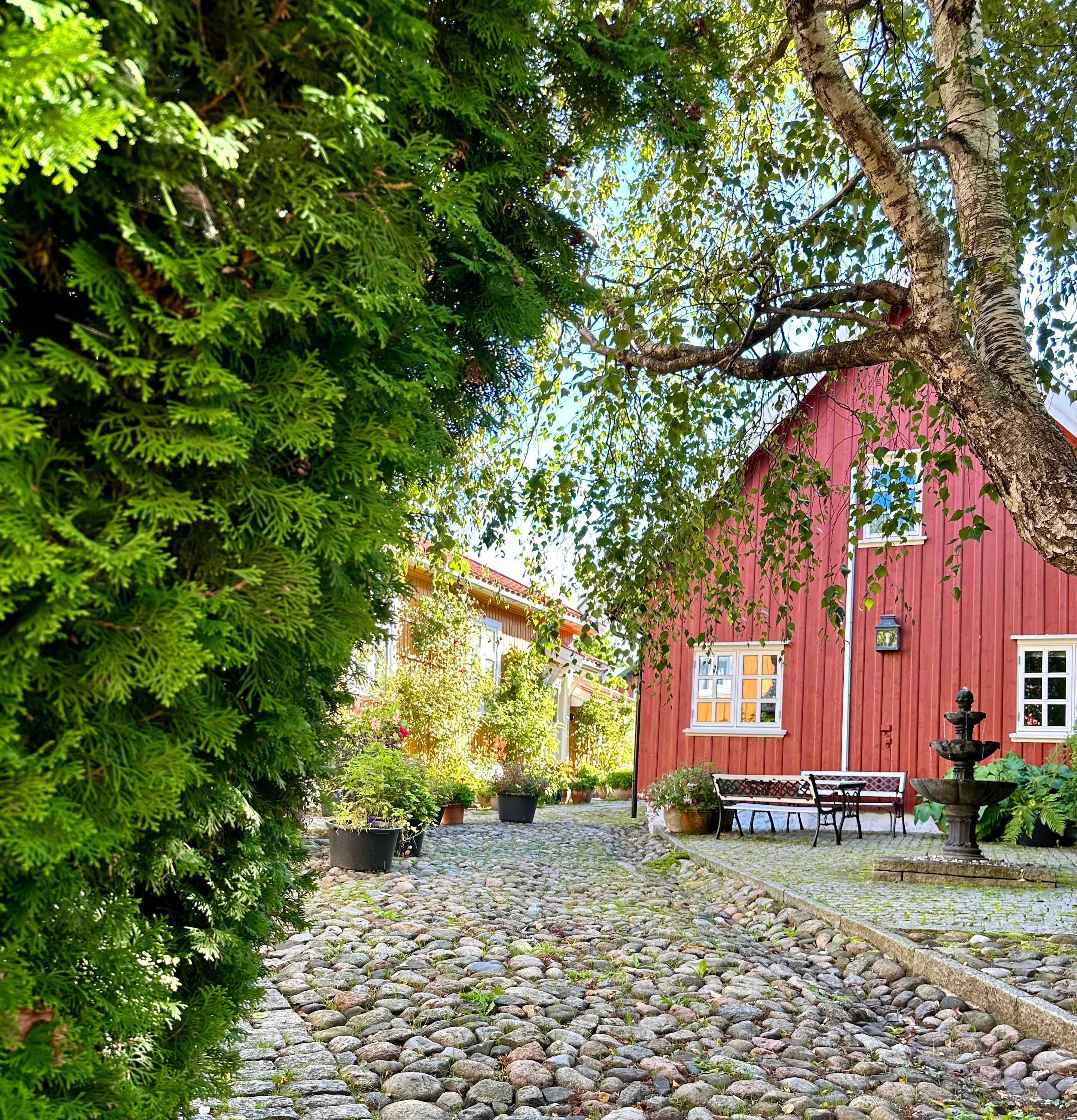 Hagen til Tollgaarden