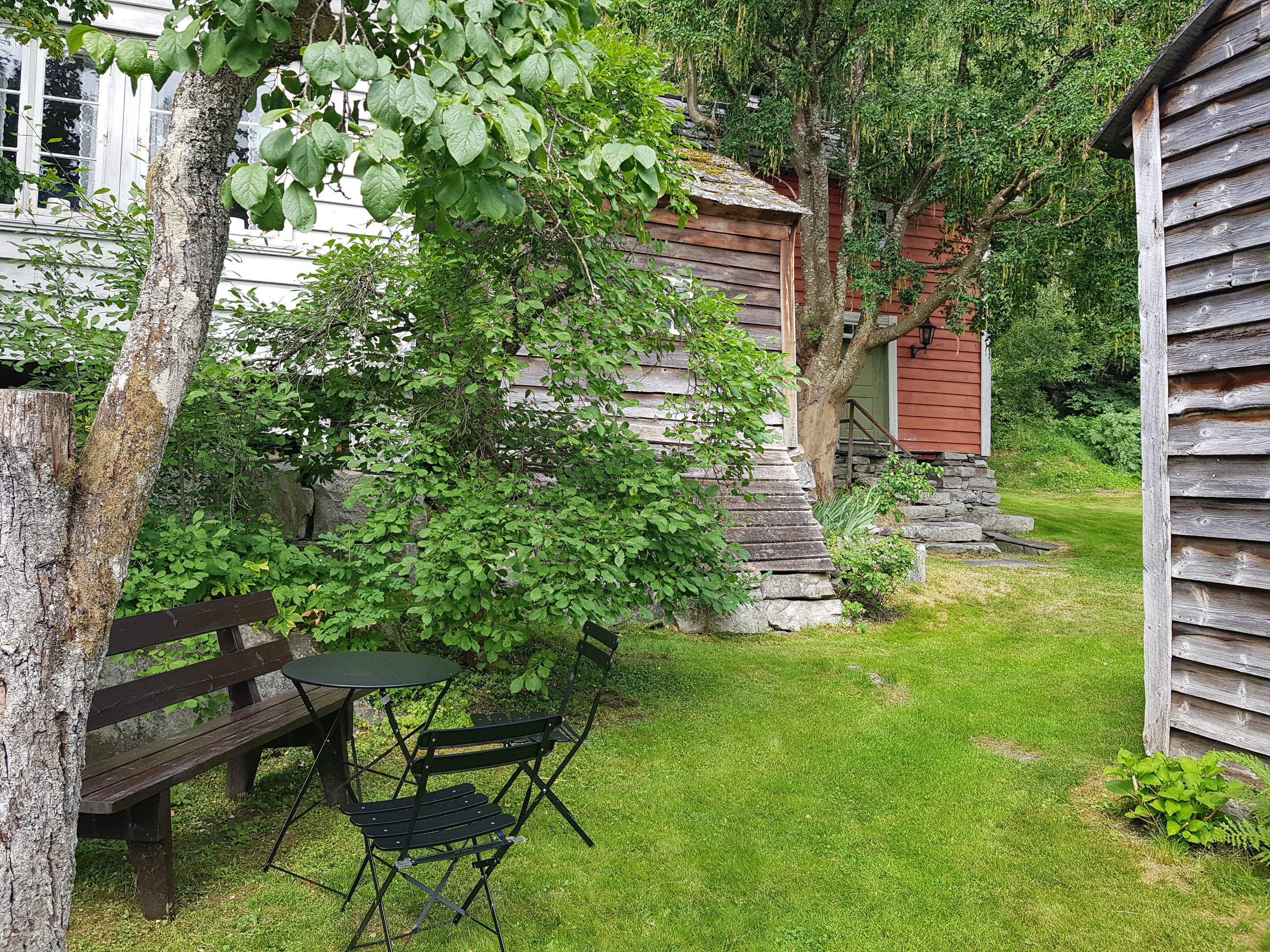 Ei lita sittegruppe i den frodige hagen