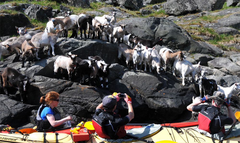 Utleige av kajakk, Flåm