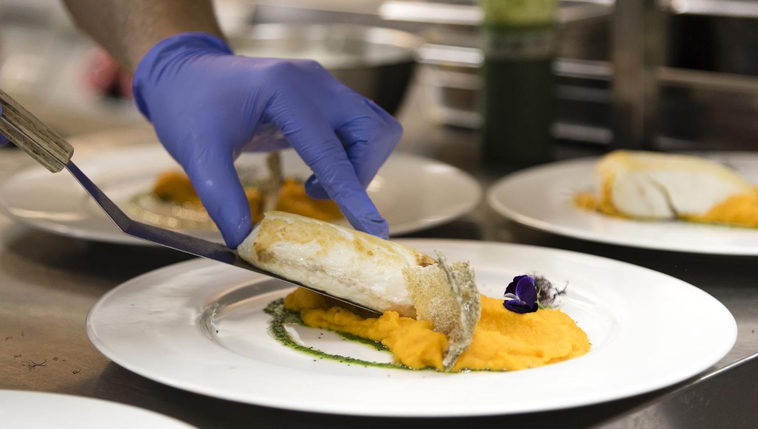 Torghatten Camping