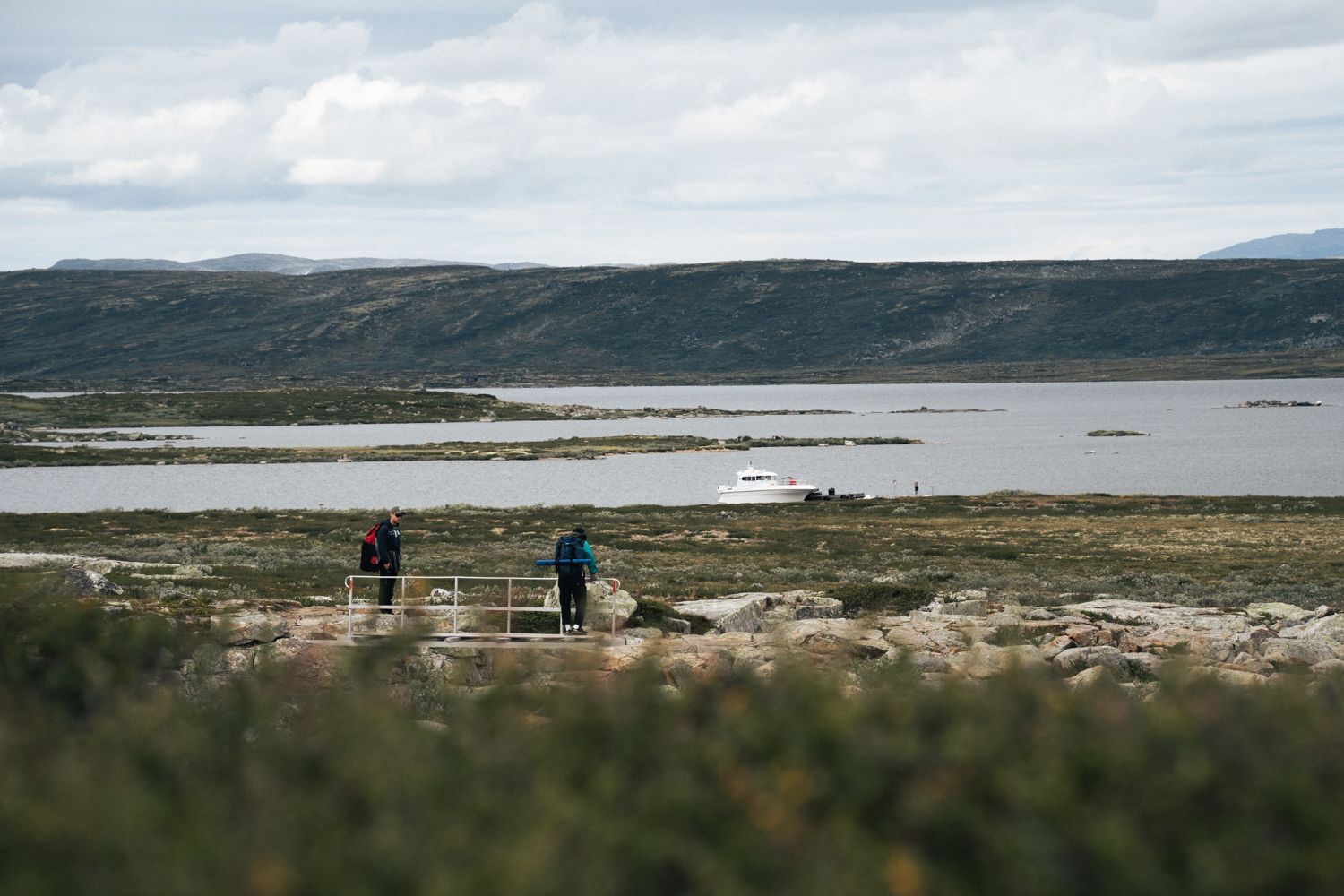 Hardangervidda x Yrjan Olsnes 2021-08941
