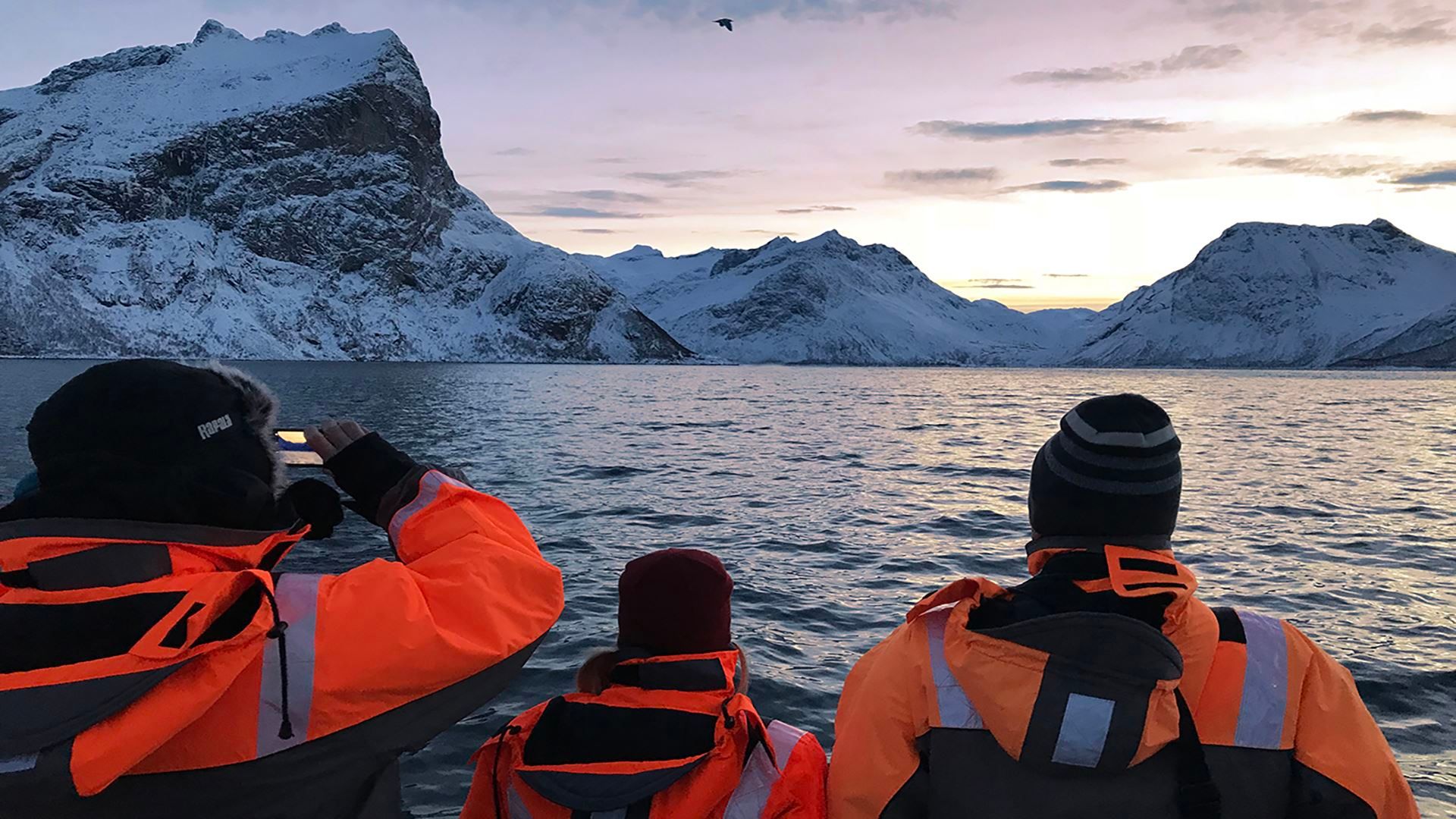 Guests on the boat enjoying a view of the mountains and the sea