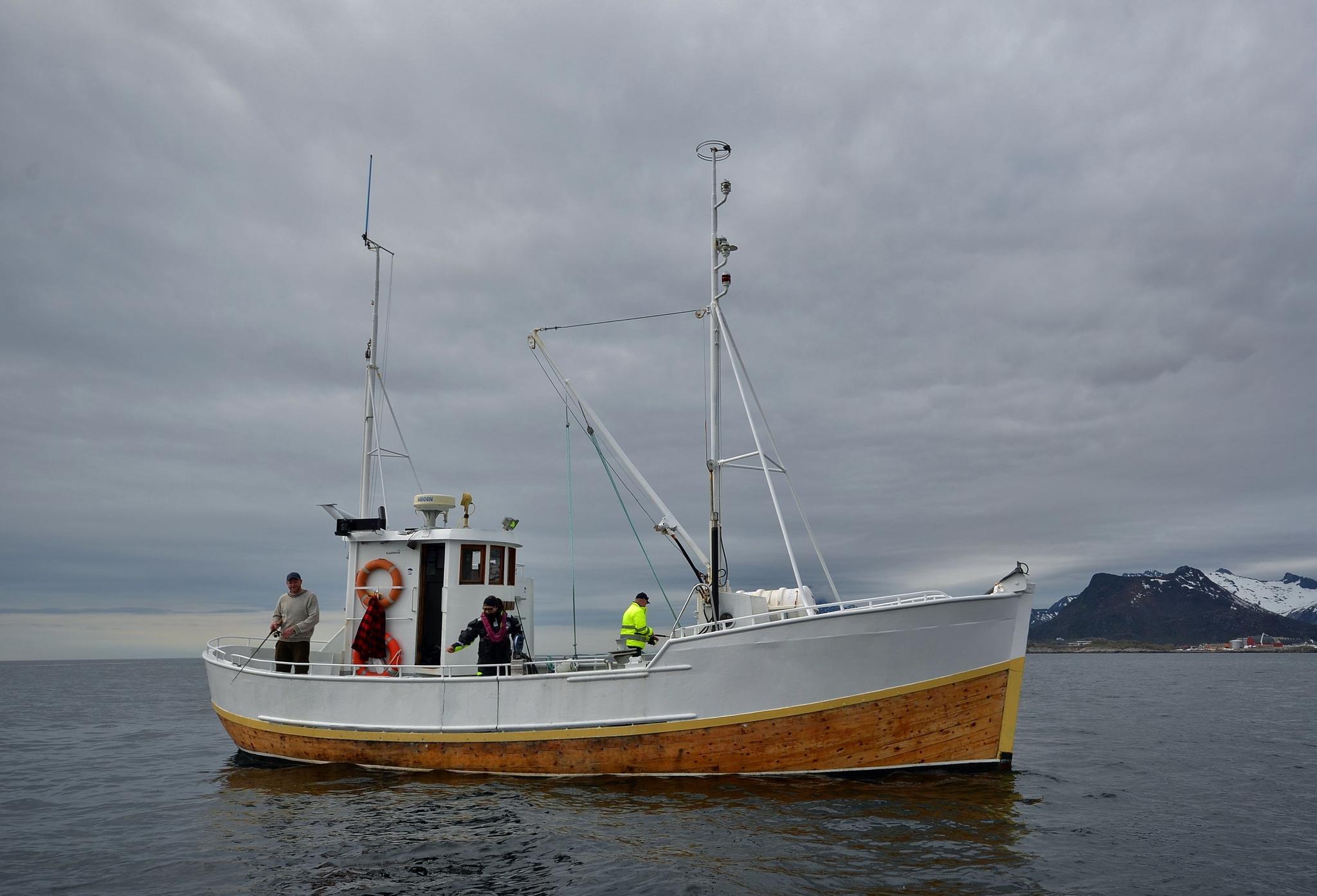 Fisketur med RIB-Lofoten