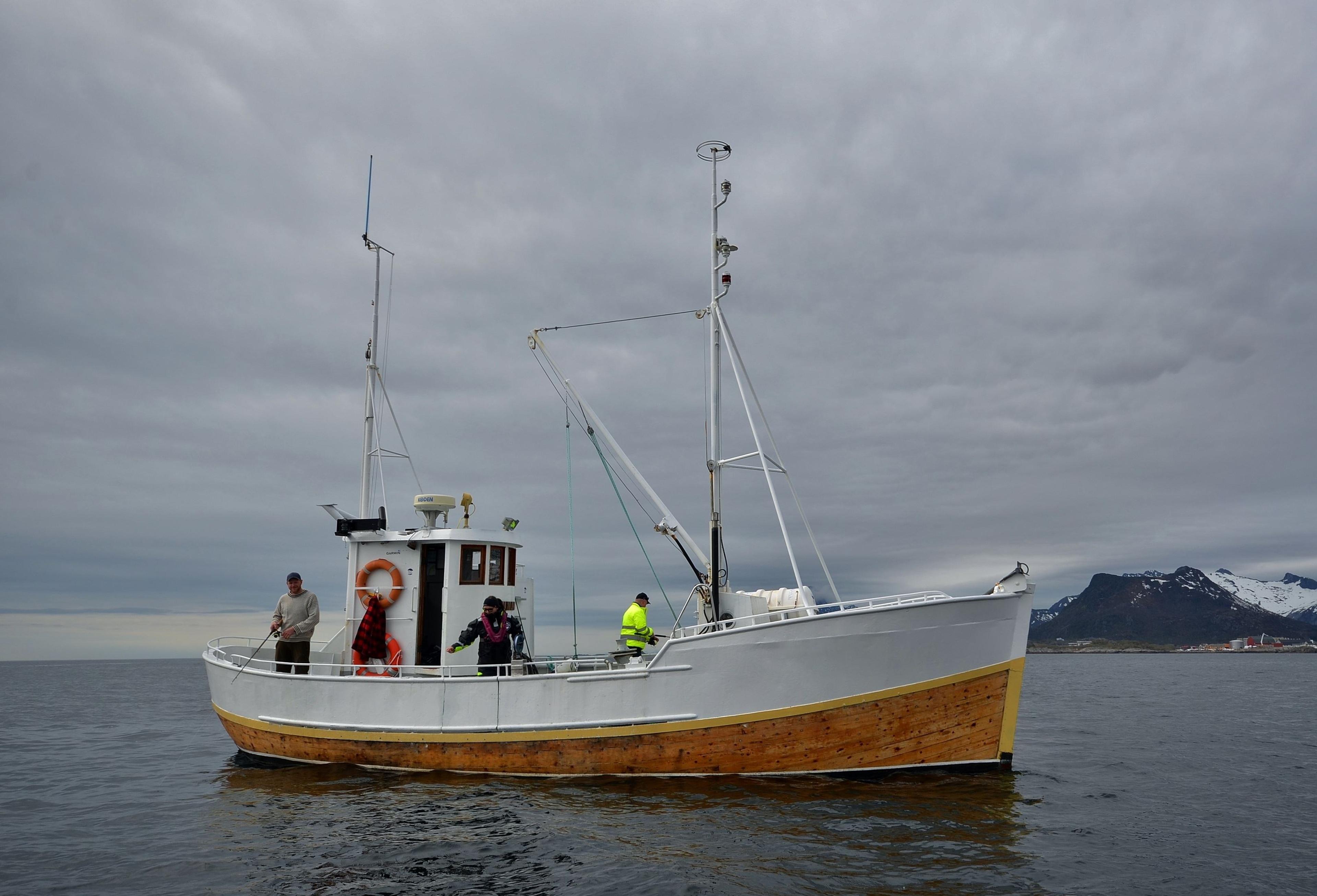 Fishing trip with RIB-Lofoten