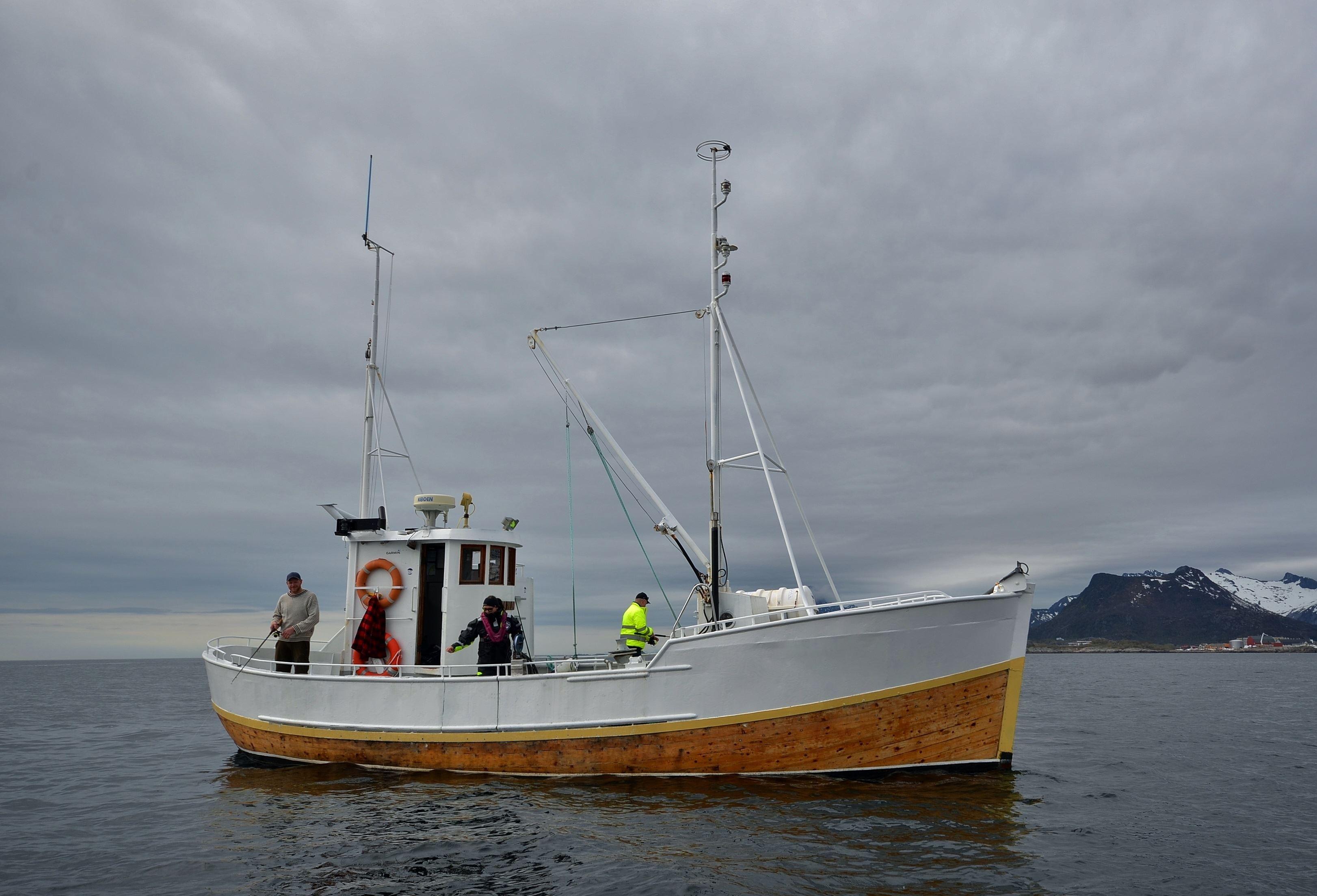 Fishing trip with RIB-Lofoten