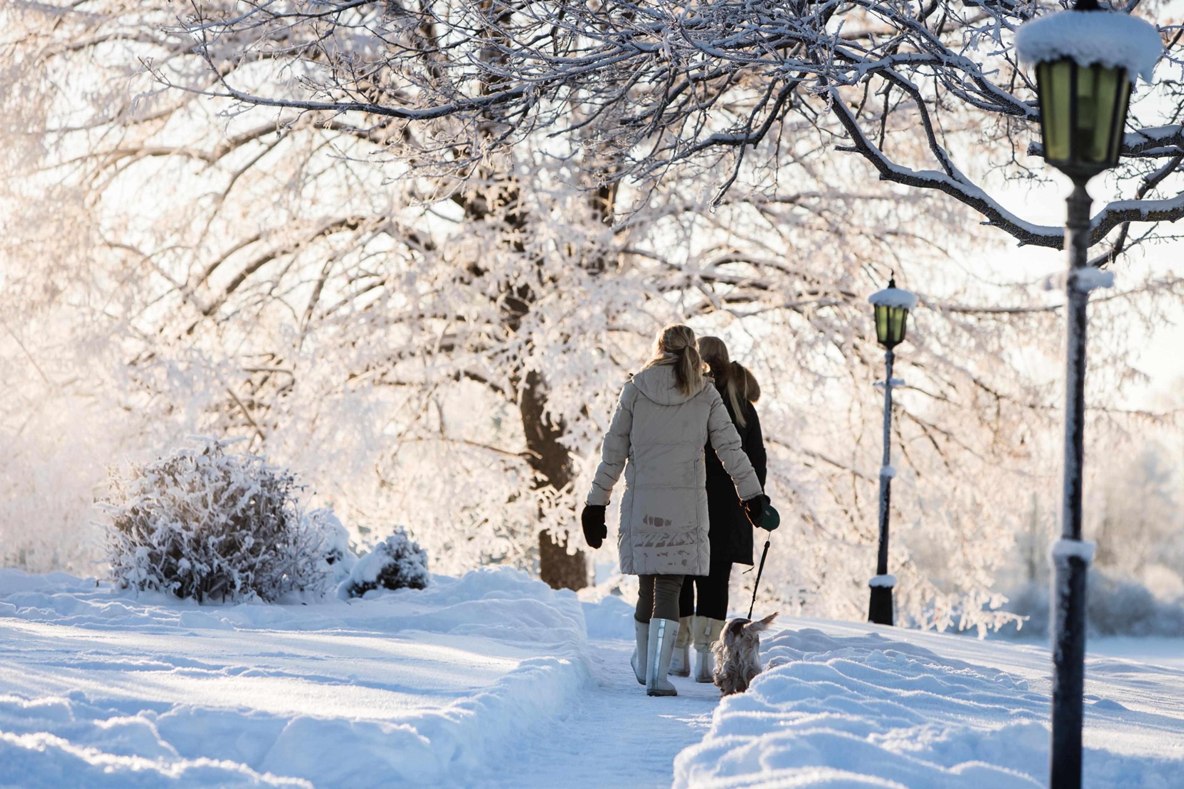 tbe_klekkenvinter-6197