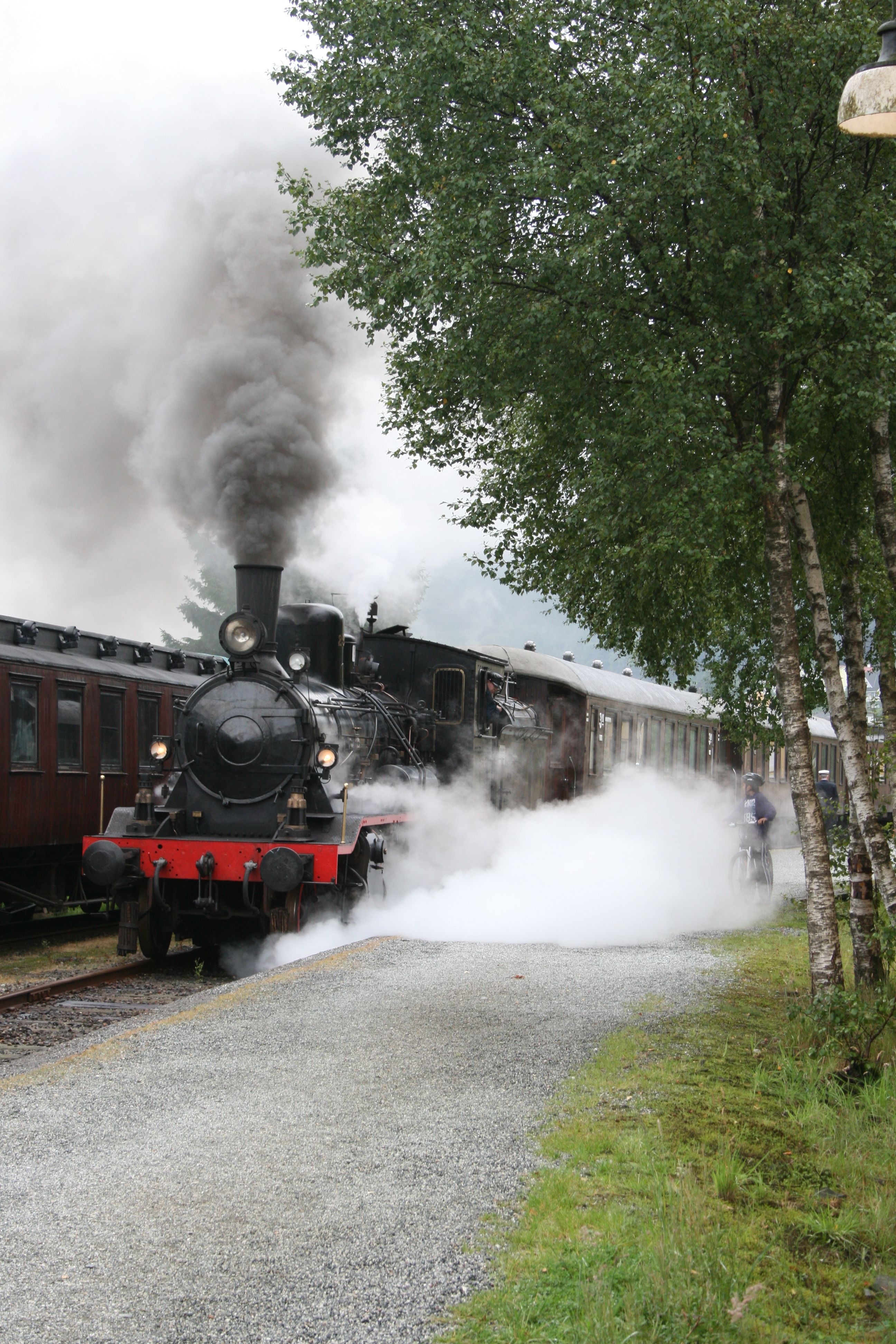 Bergen Heritage Tour - Gamle Vossebanen