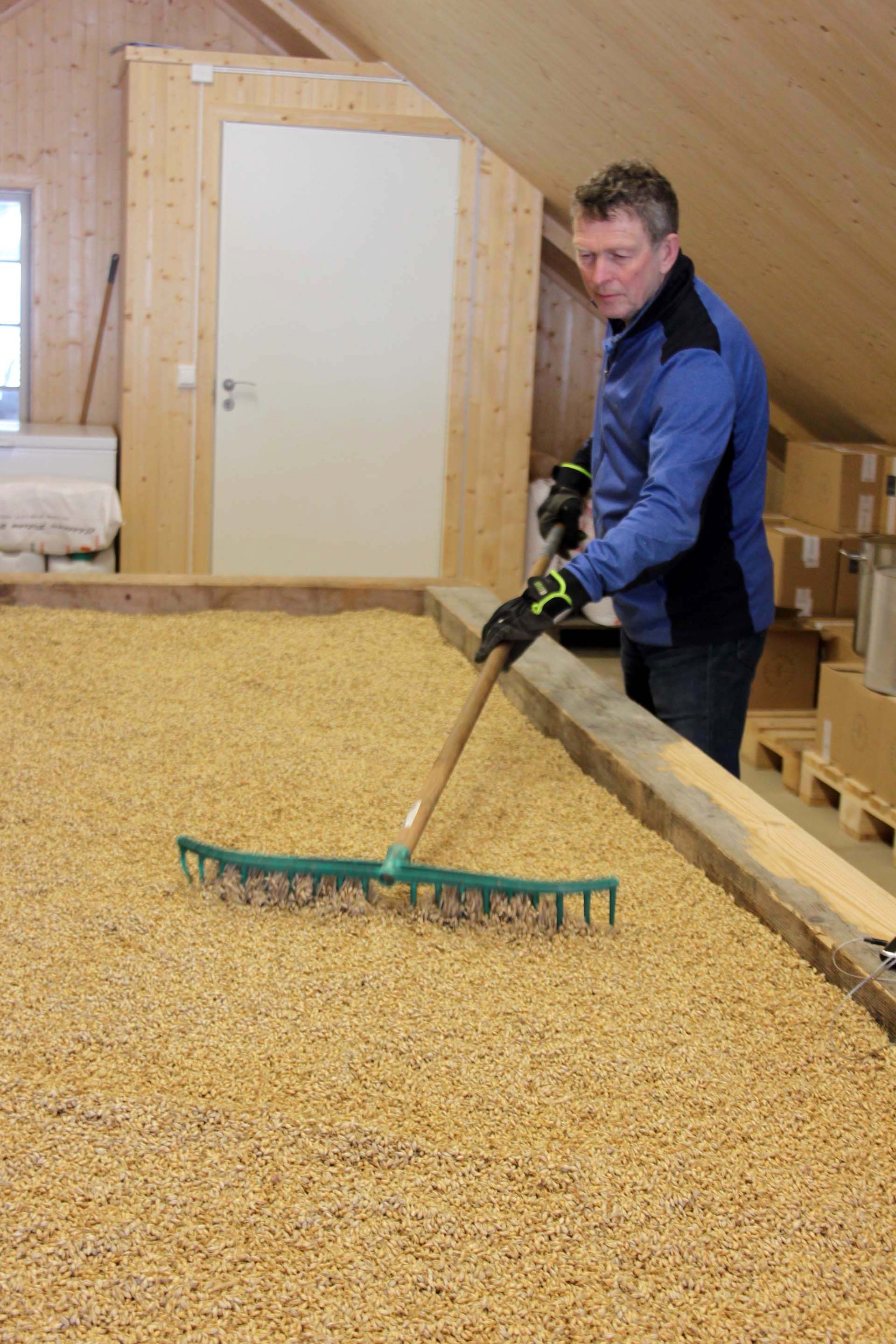 Per Morten vender korn under malteprosessen