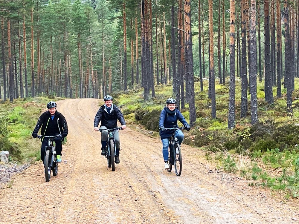 3 personer på sykkeltur gjennom skogen i Drangedal