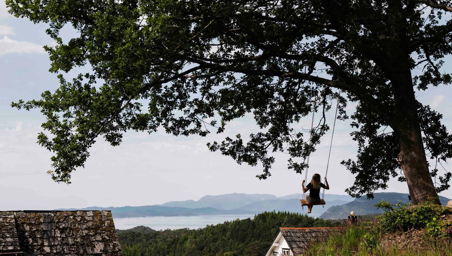 Person på huske i eiketreet med utsikt over Hardangerfjorden ved Stigen Fjordlodge.