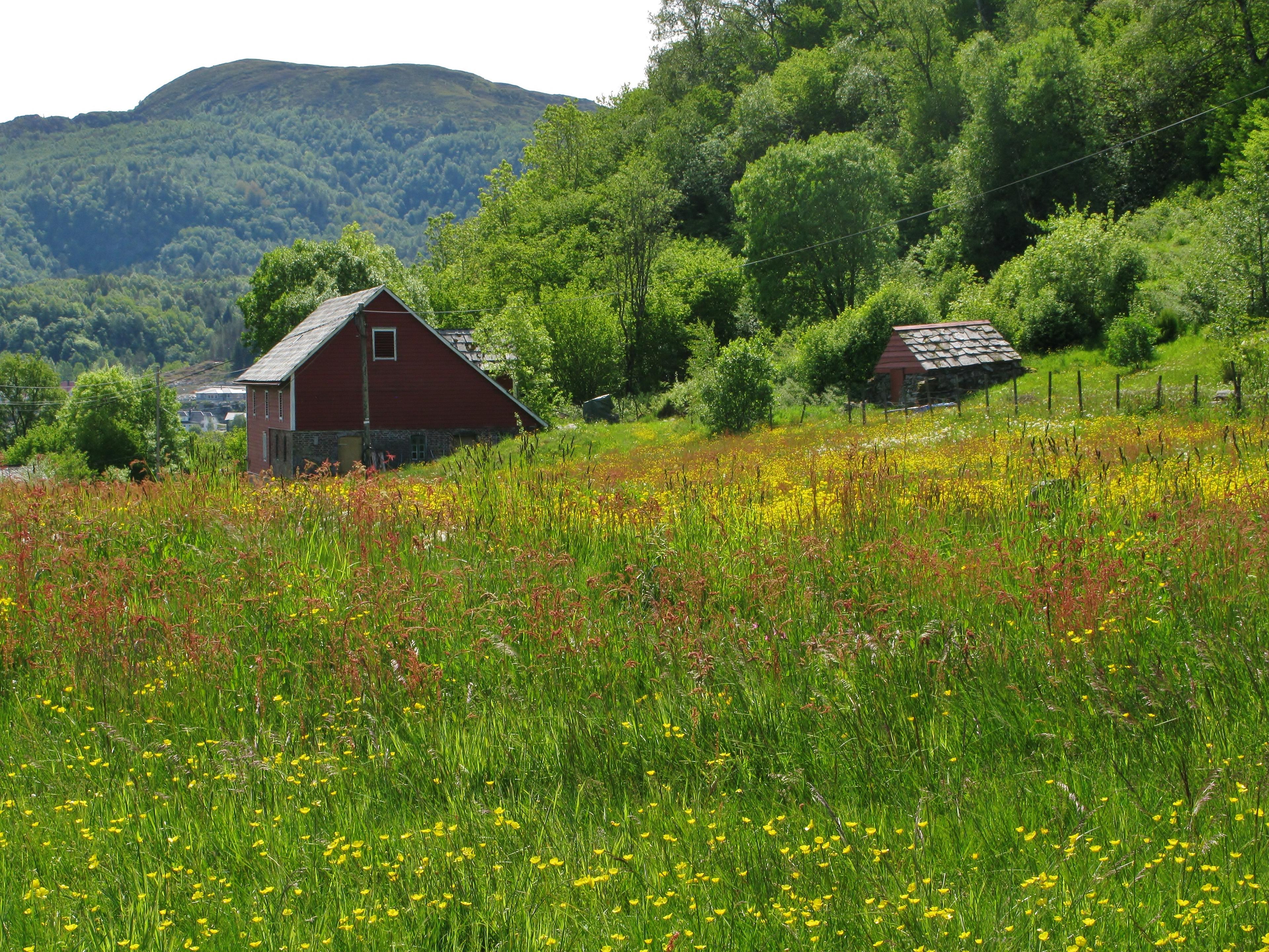 Hike to Indre Ve -the Korsfjorden