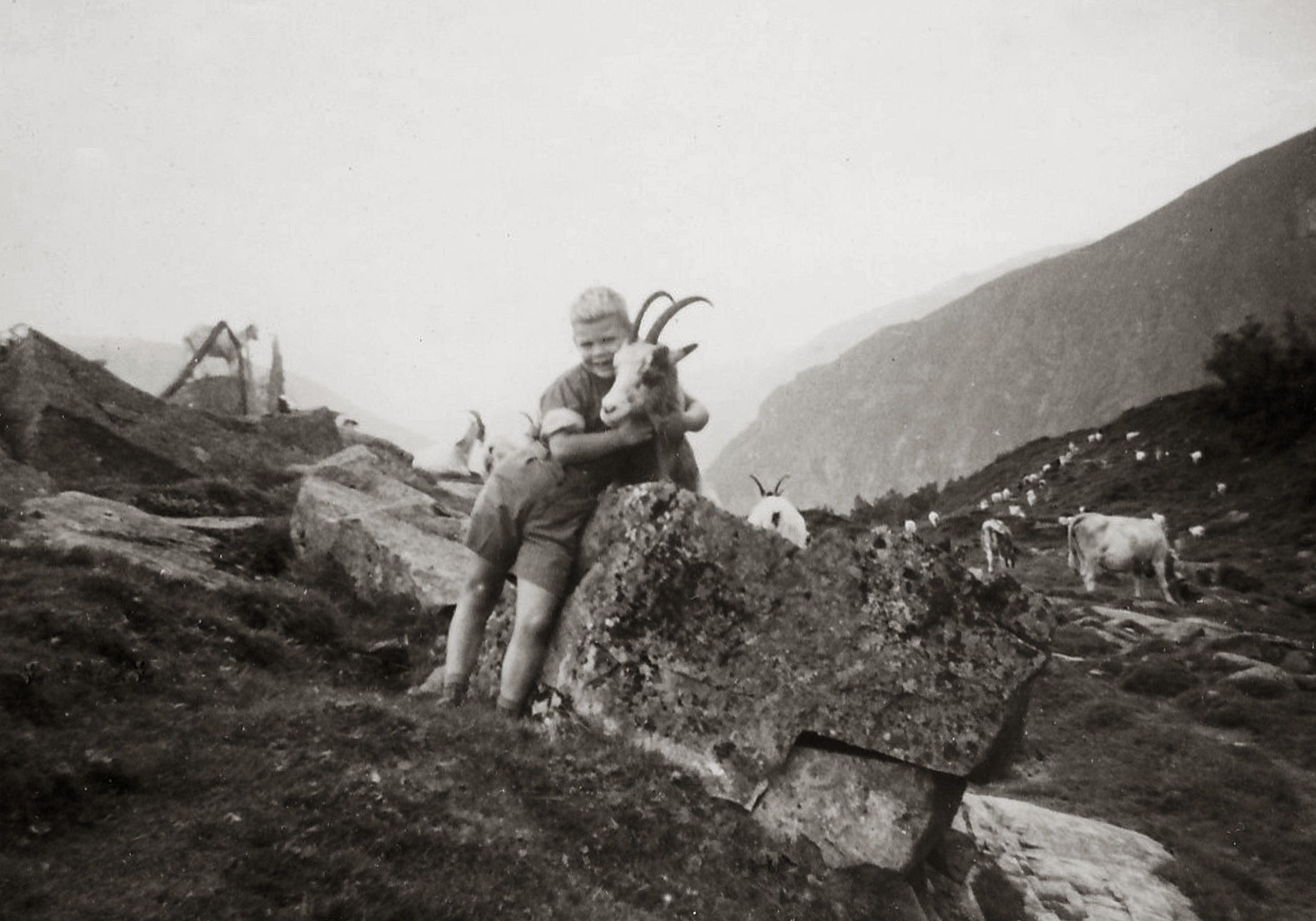 Fjell- Sykkeltur til Drivandefossen