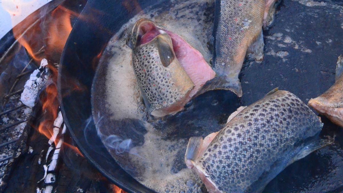 Fish getting prepared over a bonfire