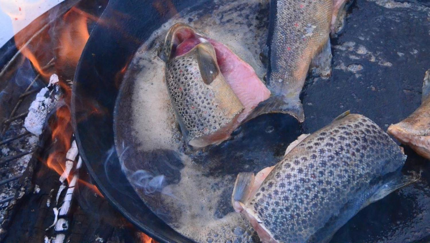 Fish getting prepared over a bonfire