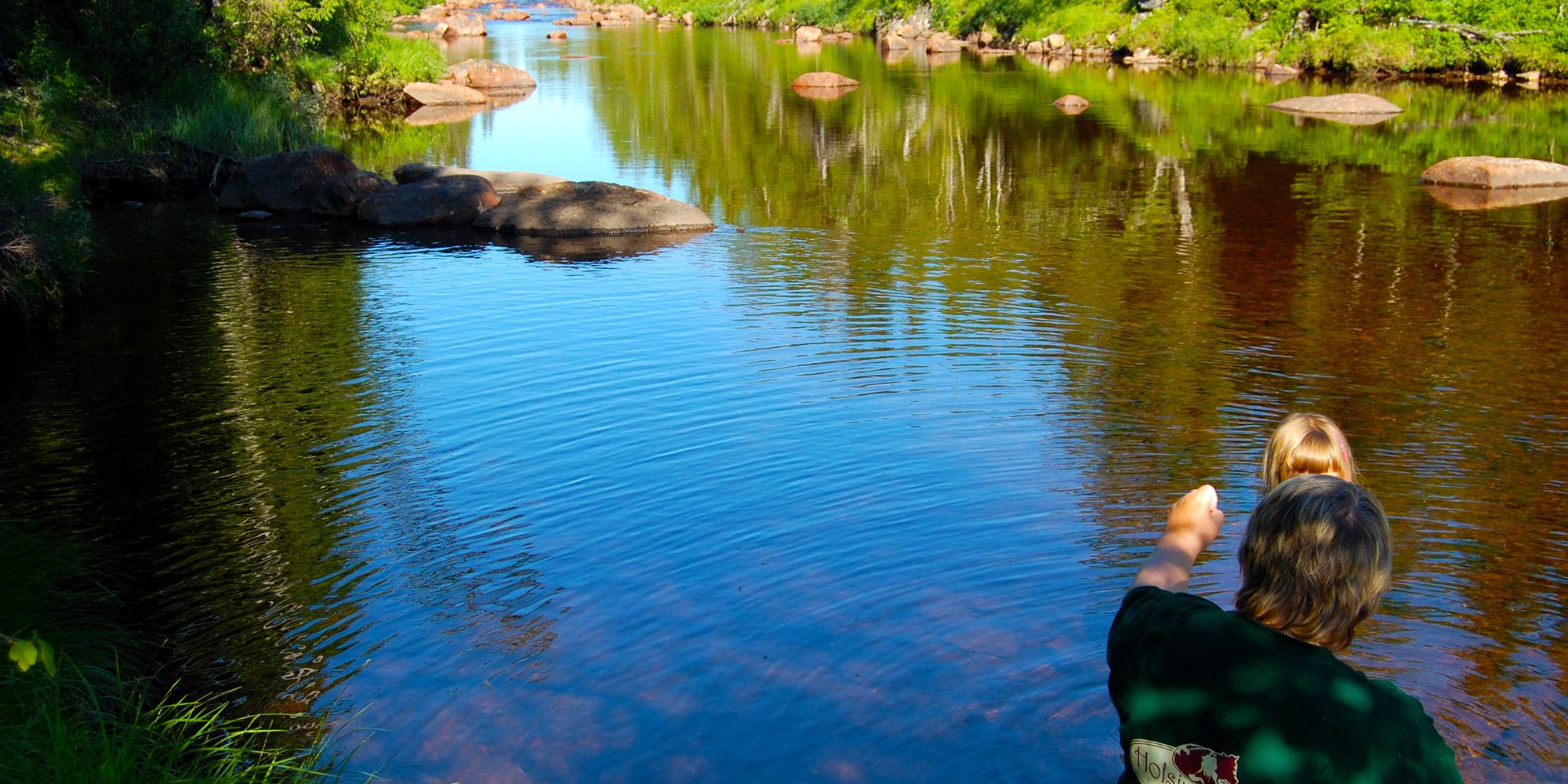 Elva ved Holsingseteren