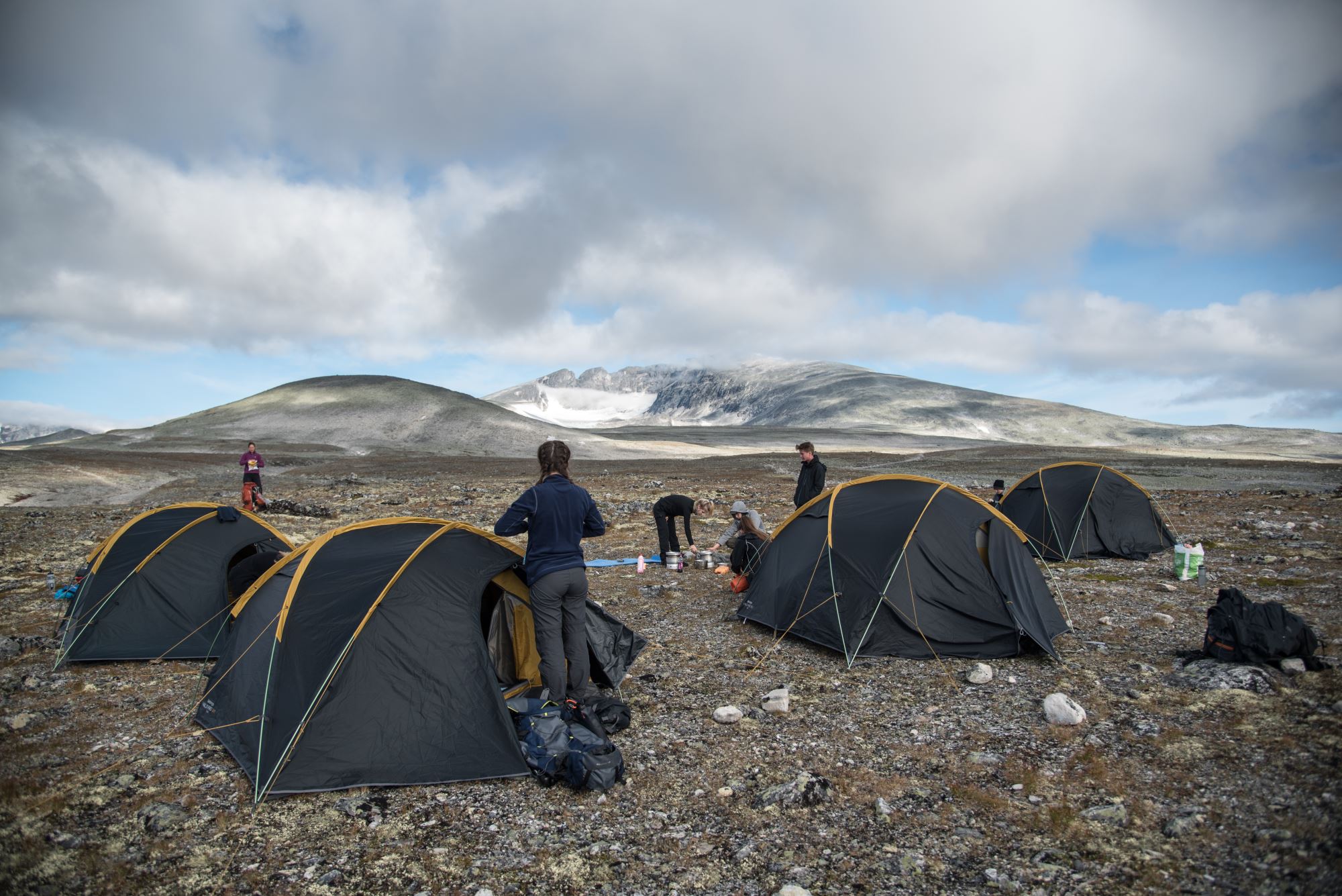 Moskussafari m/personlig guide, 2 dager