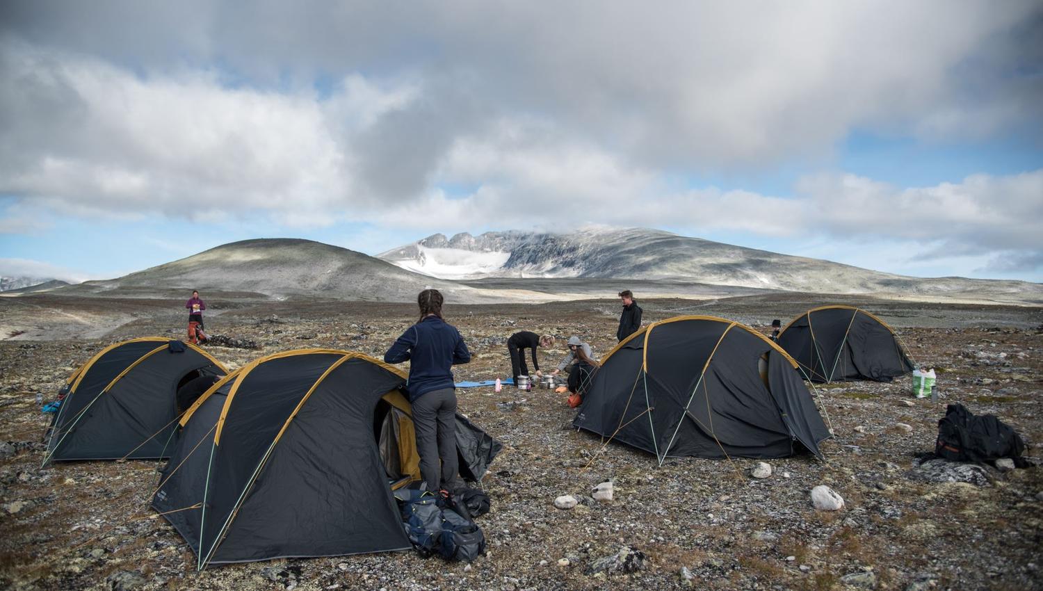 Moskussafari m/personlig guide, 2 dager