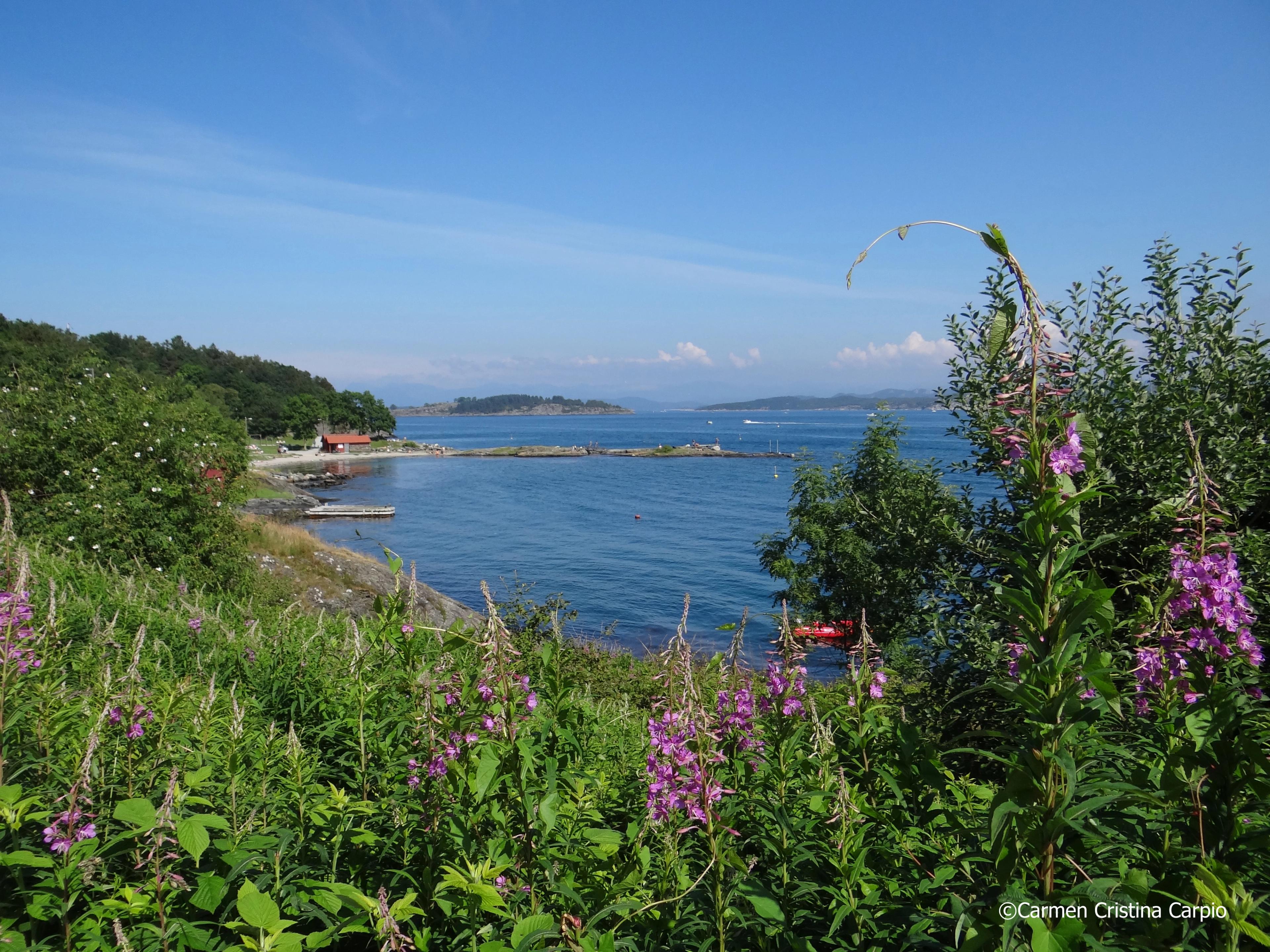 Vardenturen hike in Stavanger