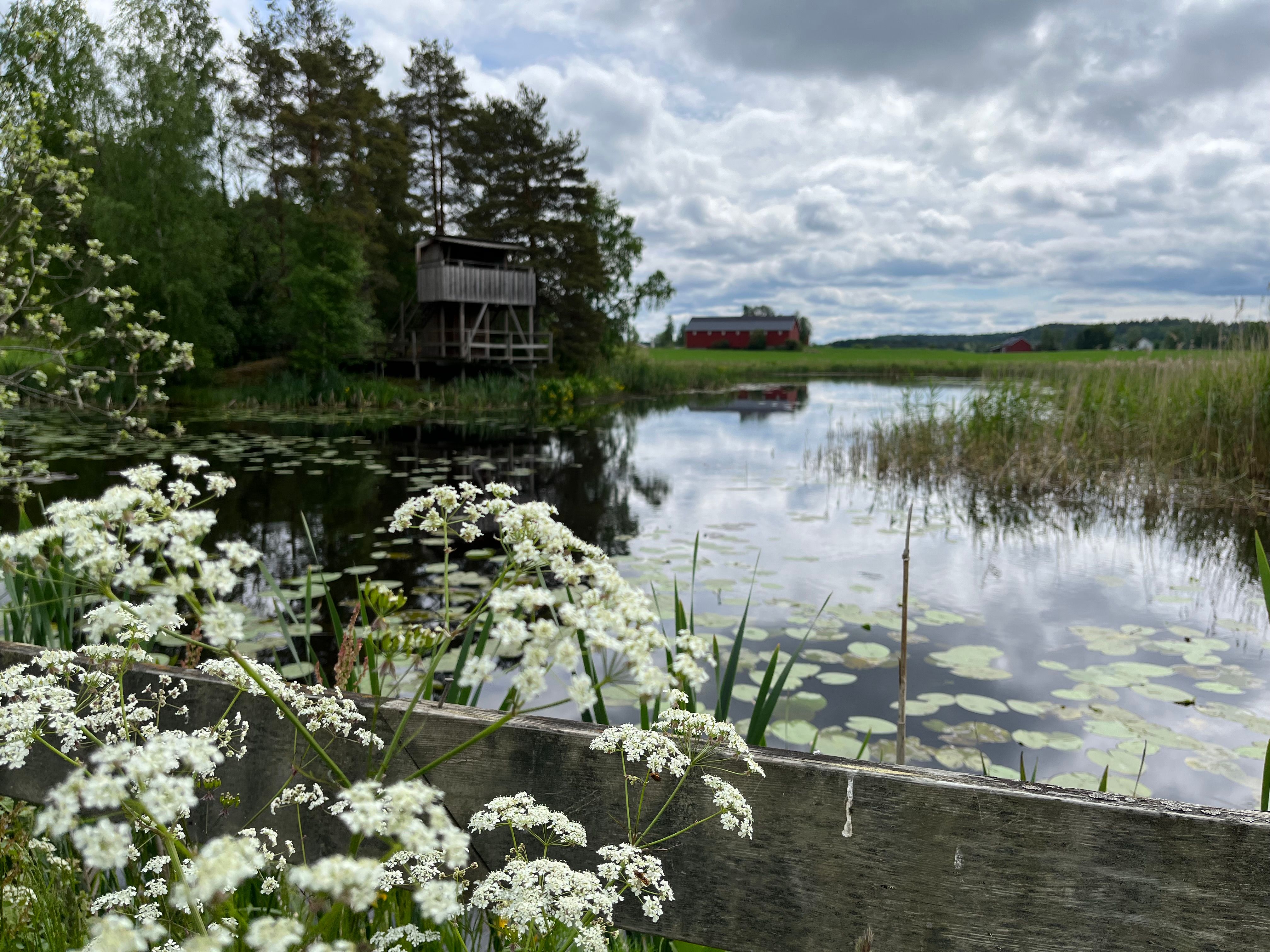 Bird watching tower by Gjølsjøen 