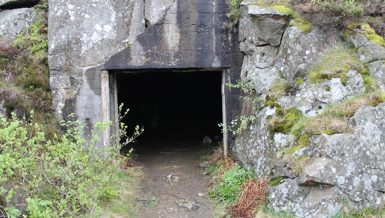 Hausvikodden fort